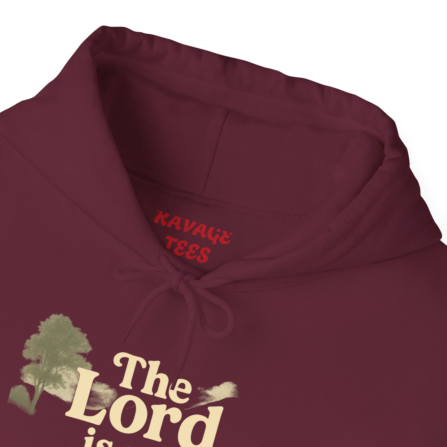 Faith-Inspired Hooded Sweatshirt, Cozy Christian Apparel, Gift for Believers, Inspirational Hoodie, Church Outing Wear