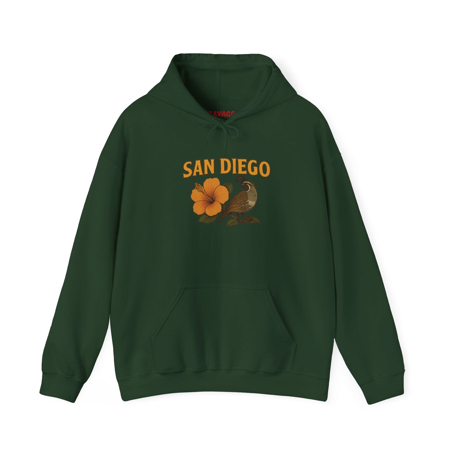 SAN DIEGO Unisex Hoodie – Cozy Sweatshirt, Casual Travel Souvenir, Relaxed Streetwear Gift for Nature & City Lovers