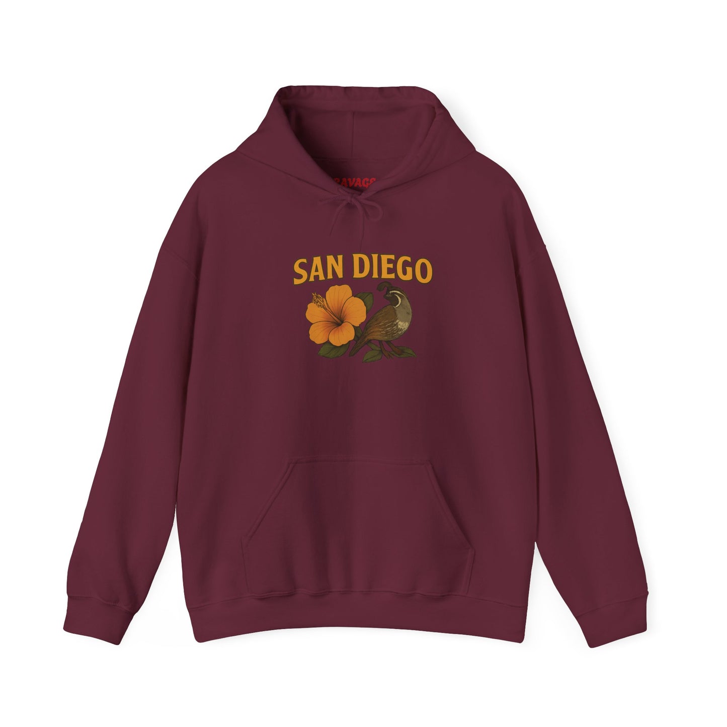 SAN DIEGO Unisex Hoodie – Cozy Sweatshirt, Casual Travel Souvenir, Relaxed Streetwear Gift for Nature & City Lovers