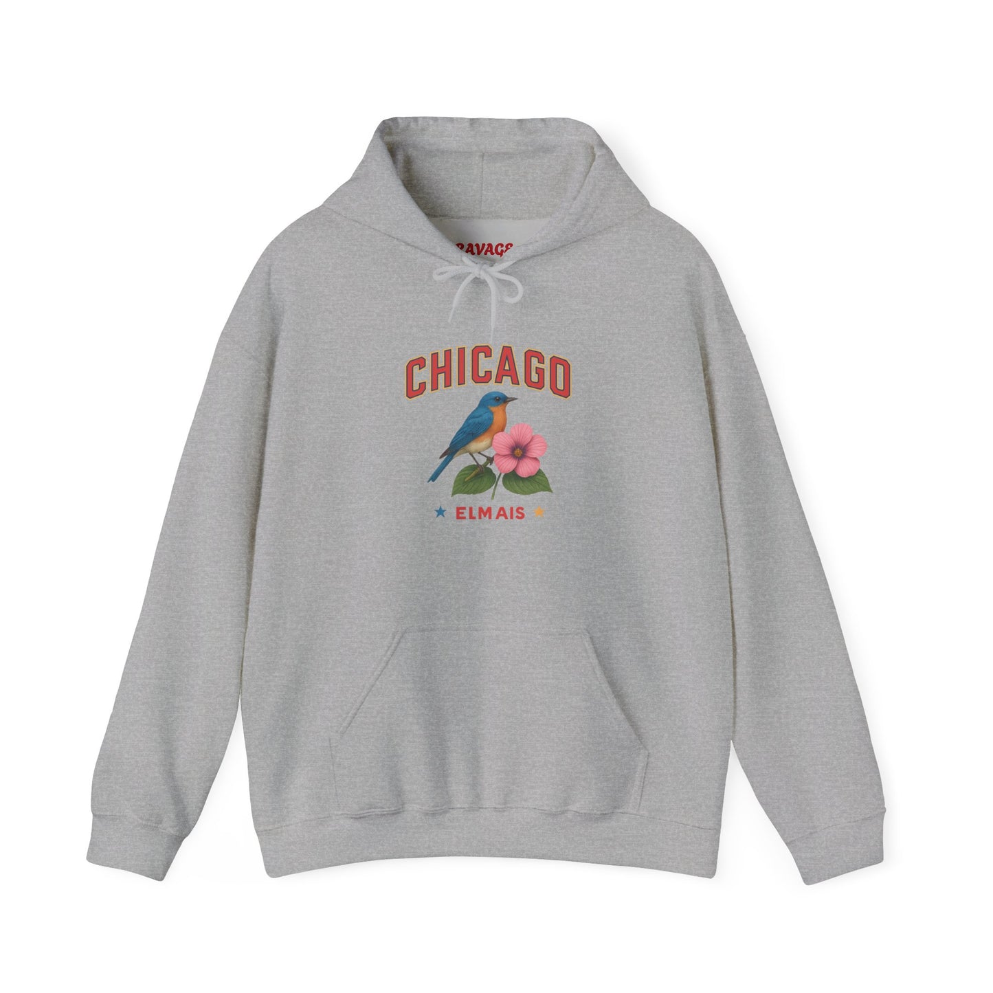Chicago "The Windy City" Unisex Hoodie – Cozy Sweatshirt, Casual Travel Souvenir, Relaxed Streetwear Gift for Nature & City Lovers