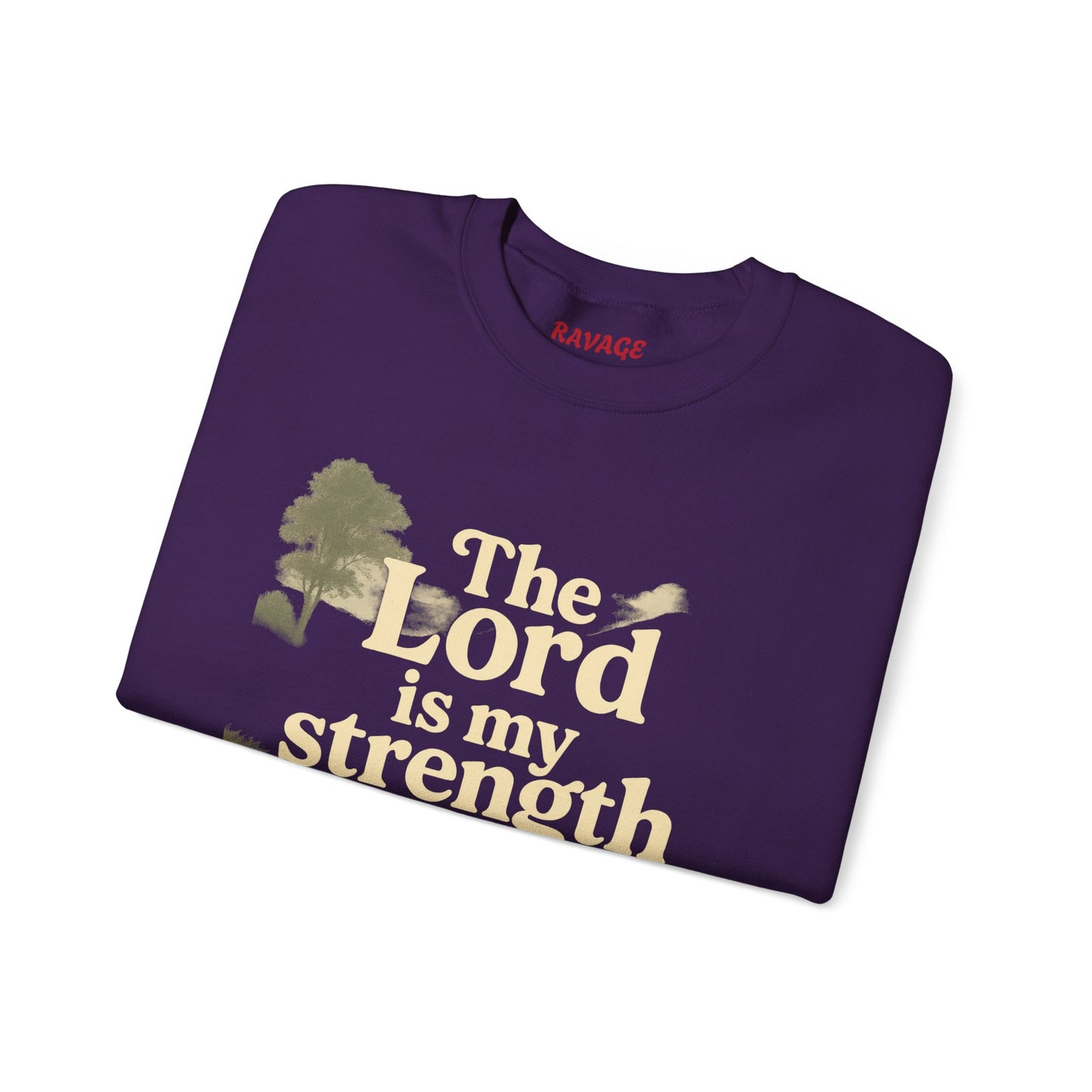 Faith-Inspired Crewneck Sweatshirt, Christian Apparel, Inspirational Gift, Religious Fashion, Daily Comfort, Cozy Sweatshirt