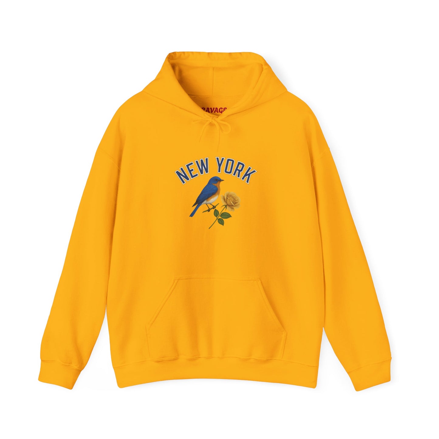 NEW YORK "THE EMPIRE STATE" Unisex Hoodie – Cozy Sweatshirt, Casual Travel Souvenir, Relaxed Streetwear Gift for Nature & City Lovers