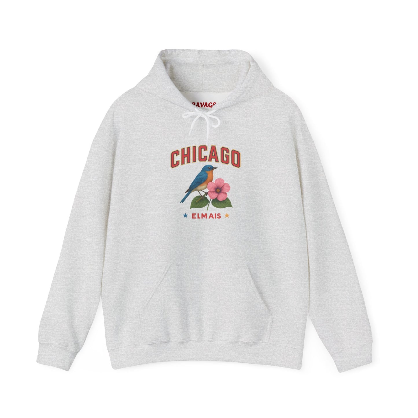Chicago "The Windy City" Unisex Hoodie – Cozy Sweatshirt, Casual Travel Souvenir, Relaxed Streetwear Gift for Nature & City Lovers