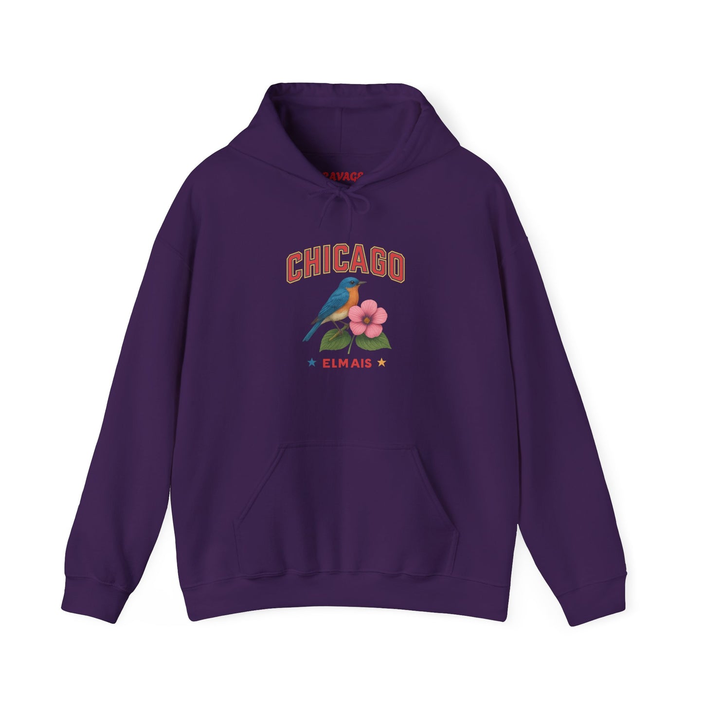 Chicago "The Windy City" Unisex Hoodie – Cozy Sweatshirt, Casual Travel Souvenir, Relaxed Streetwear Gift for Nature & City Lovers
