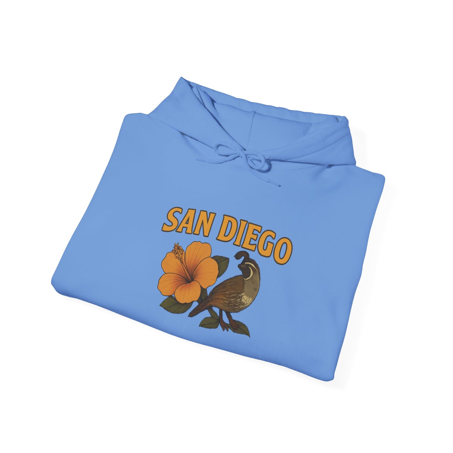 SAN DIEGO Unisex Hoodie – Cozy Sweatshirt, Casual Travel Souvenir, Relaxed Streetwear Gift for Nature & City Lovers