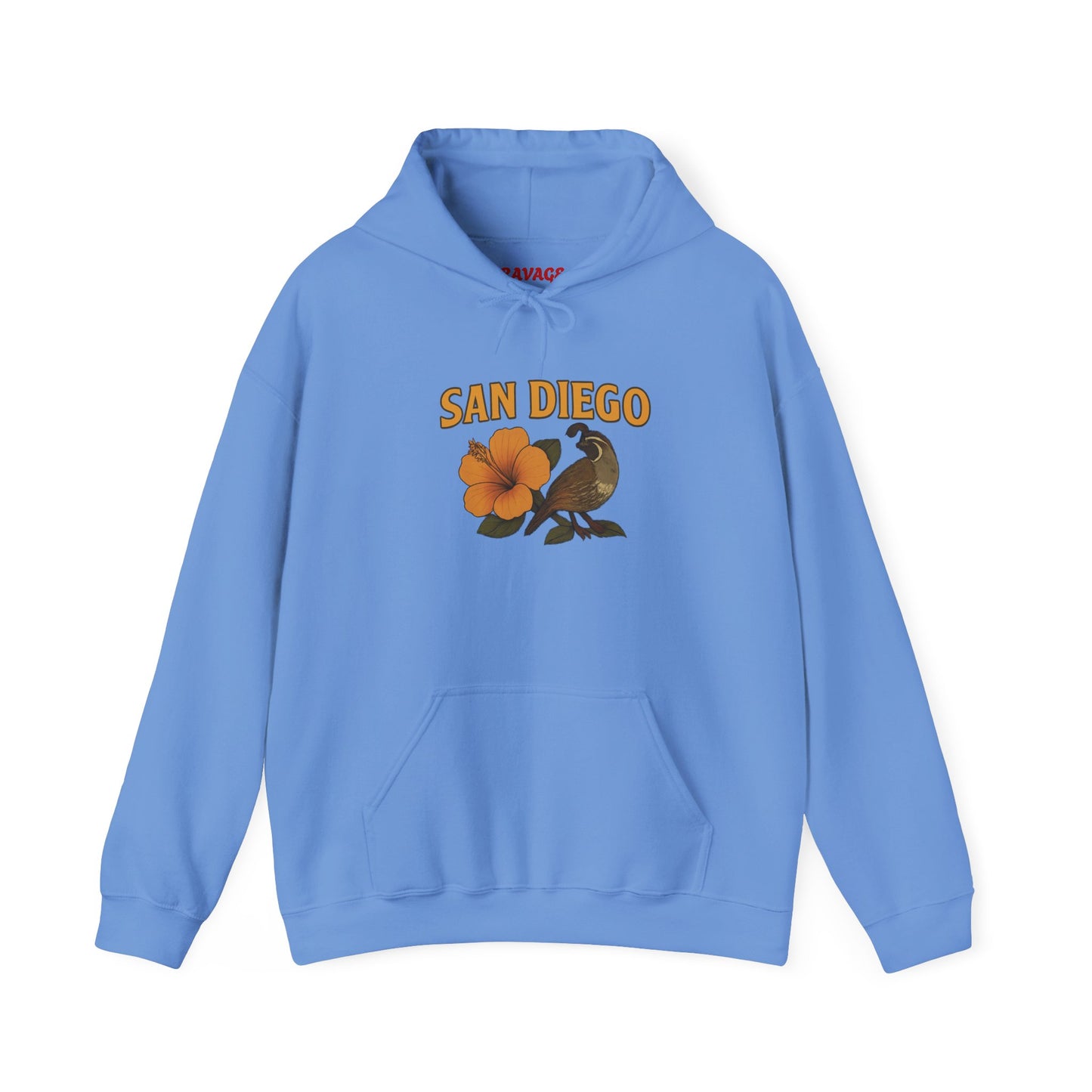 SAN DIEGO Unisex Hoodie – Cozy Sweatshirt, Casual Travel Souvenir, Relaxed Streetwear Gift for Nature & City Lovers