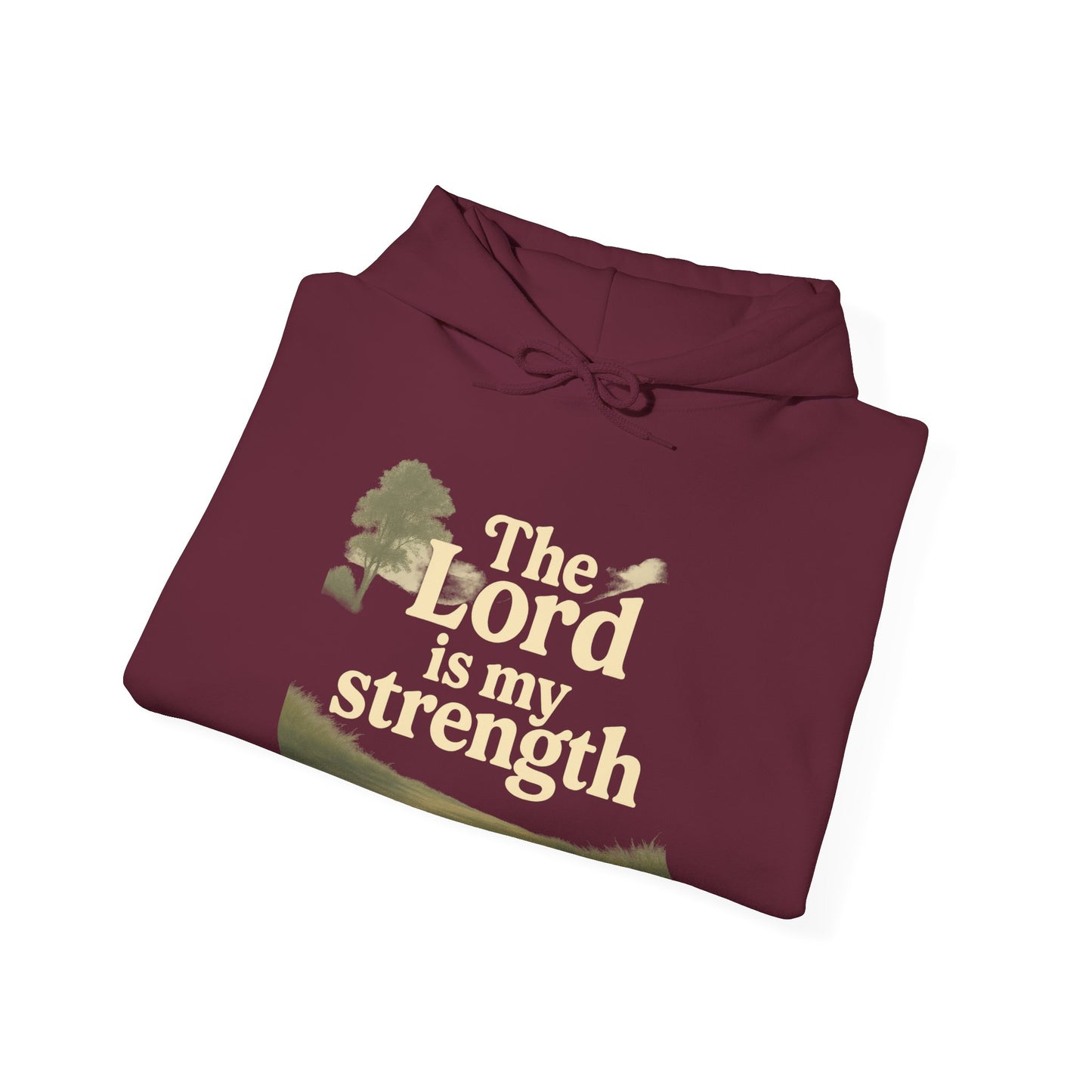 Faith-Inspired Hooded Sweatshirt, Cozy Christian Apparel, Gift for Believers, Inspirational Hoodie, Church Outing Wear