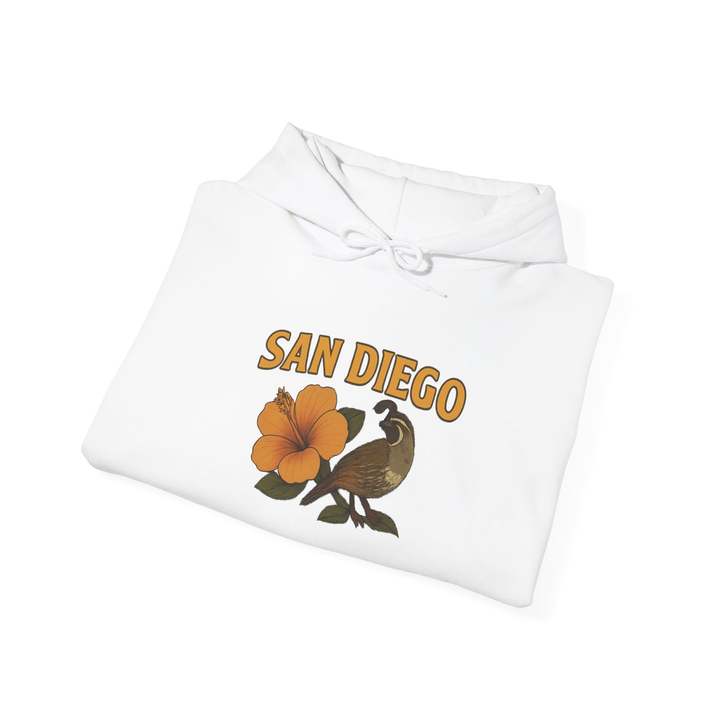 SAN DIEGO Unisex Hoodie – Cozy Sweatshirt, Casual Travel Souvenir, Relaxed Streetwear Gift for Nature & City Lovers