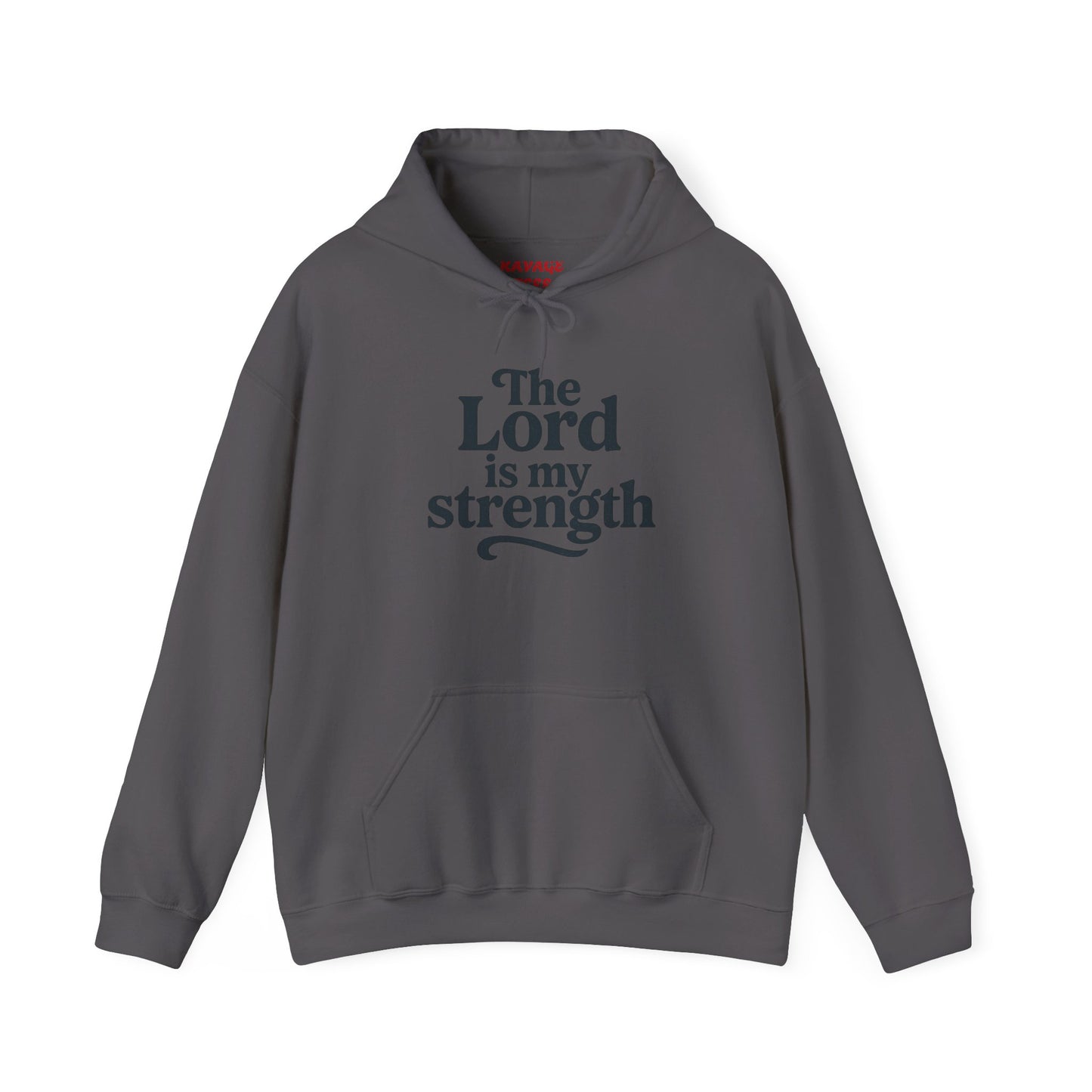 Faith-Inspired Hooded Sweatshirt, Cozy Christian Apparel, Gift for Believers, Inspirational Hoodie, Church Outing Wear