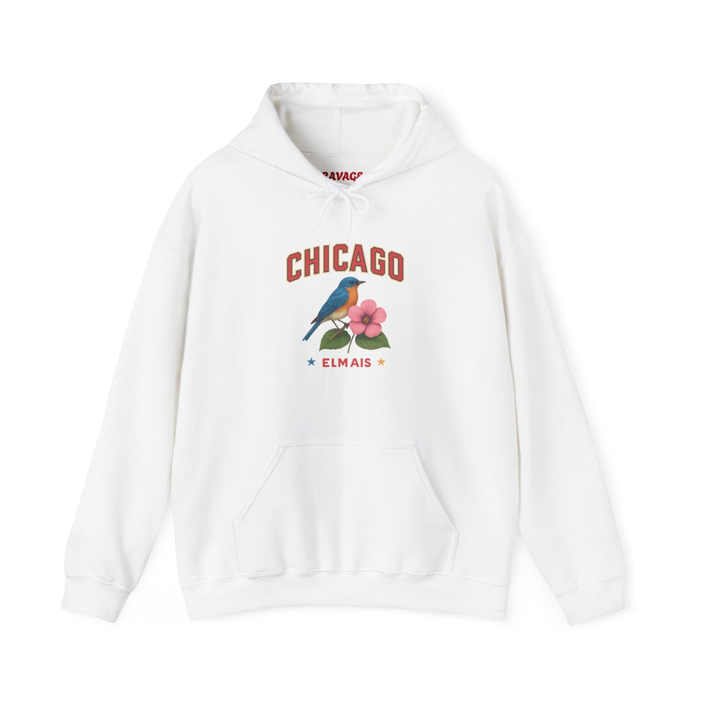 Chicago "The Windy City" Unisex Hoodie – Cozy Sweatshirt, Casual Travel Souvenir, Relaxed Streetwear Gift for Nature & City Lovers