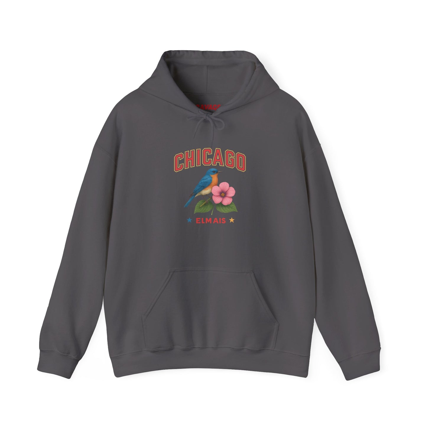 Chicago "The Windy City" Unisex Hoodie – Cozy Sweatshirt, Casual Travel Souvenir, Relaxed Streetwear Gift for Nature & City Lovers