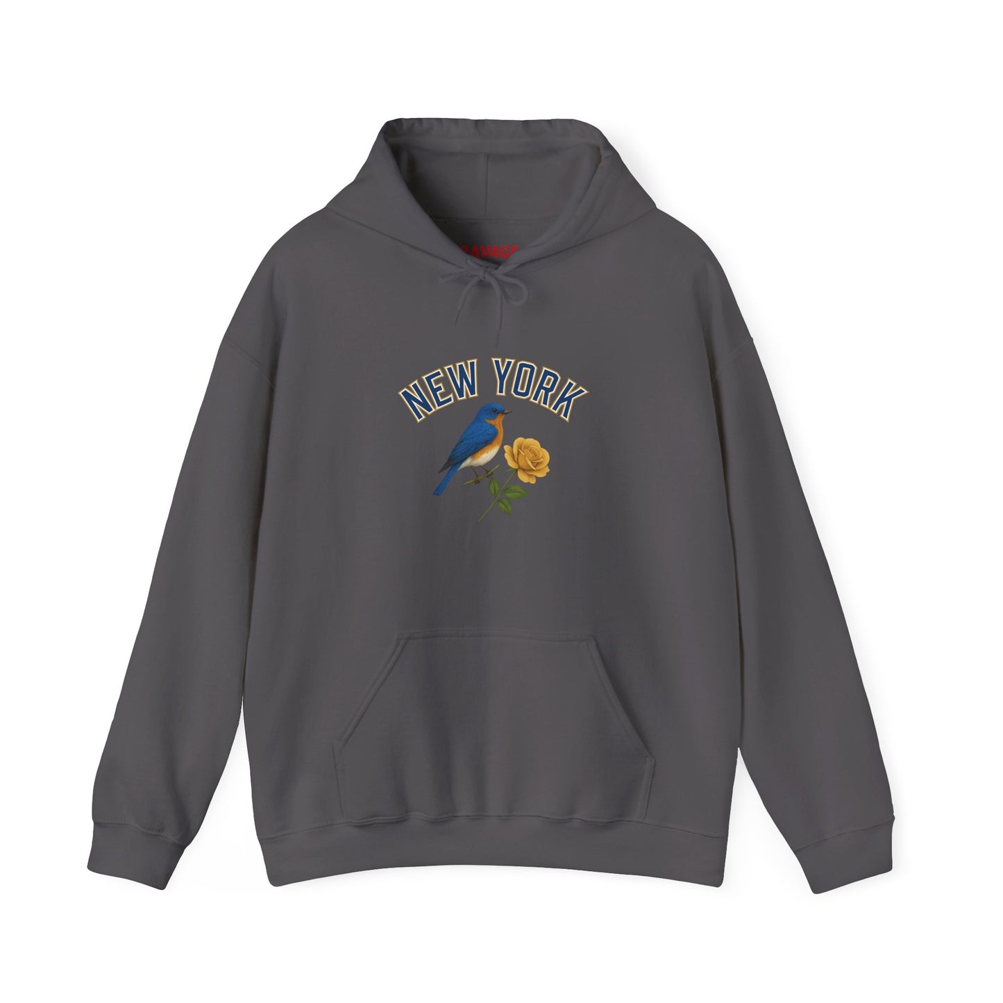 NEW YORK "THE EMPIRE STATE" Unisex Hoodie – Cozy Sweatshirt, Casual Travel Souvenir, Relaxed Streetwear Gift for Nature & City Lovers