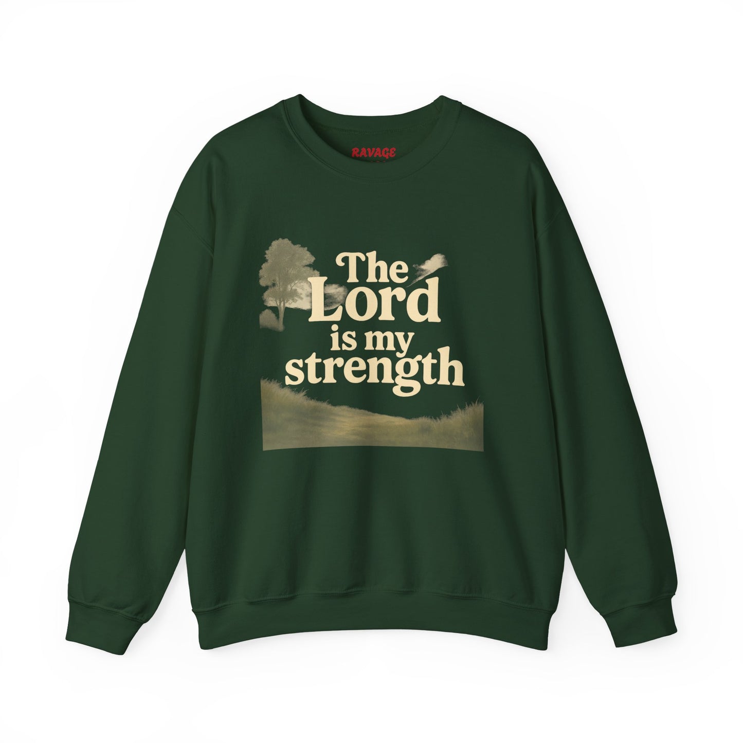 Faith-Inspired Crewneck Sweatshirt, Christian Apparel, Inspirational Gift, Religious Fashion, Daily Comfort, Cozy Sweatshirt