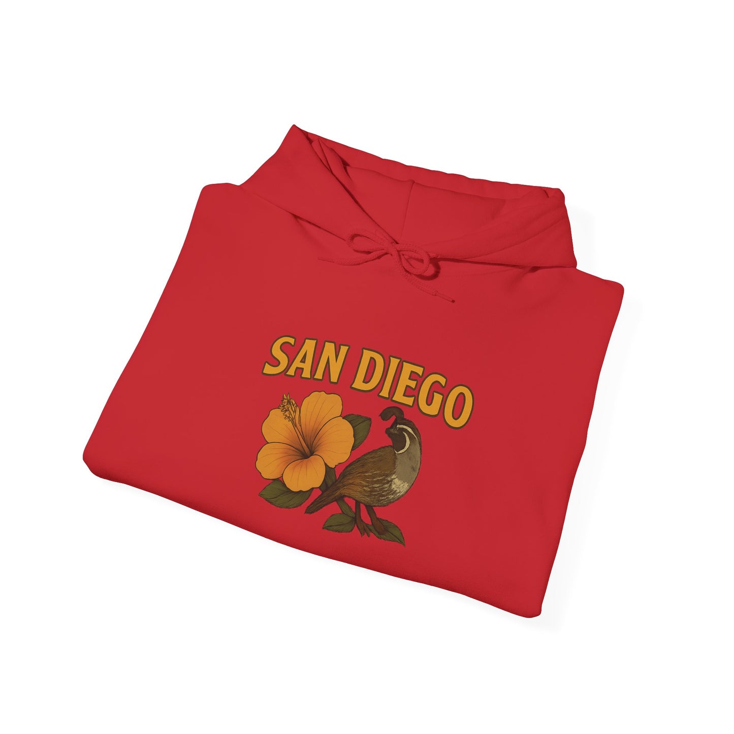 SAN DIEGO Unisex Hoodie – Cozy Sweatshirt, Casual Travel Souvenir, Relaxed Streetwear Gift for Nature & City Lovers
