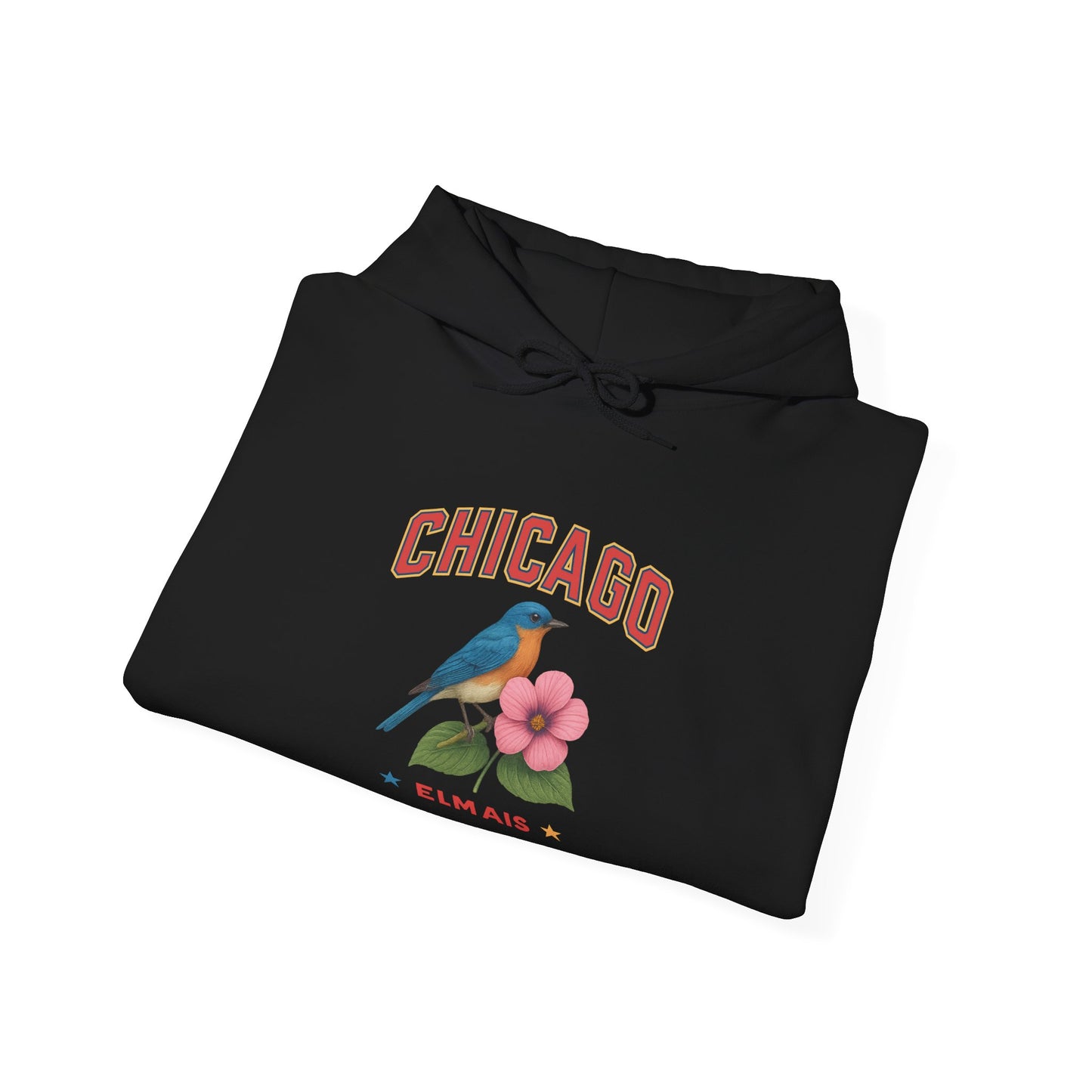 Chicago "The Windy City" Unisex Hoodie – Cozy Sweatshirt, Casual Travel Souvenir, Relaxed Streetwear Gift for Nature & City Lovers