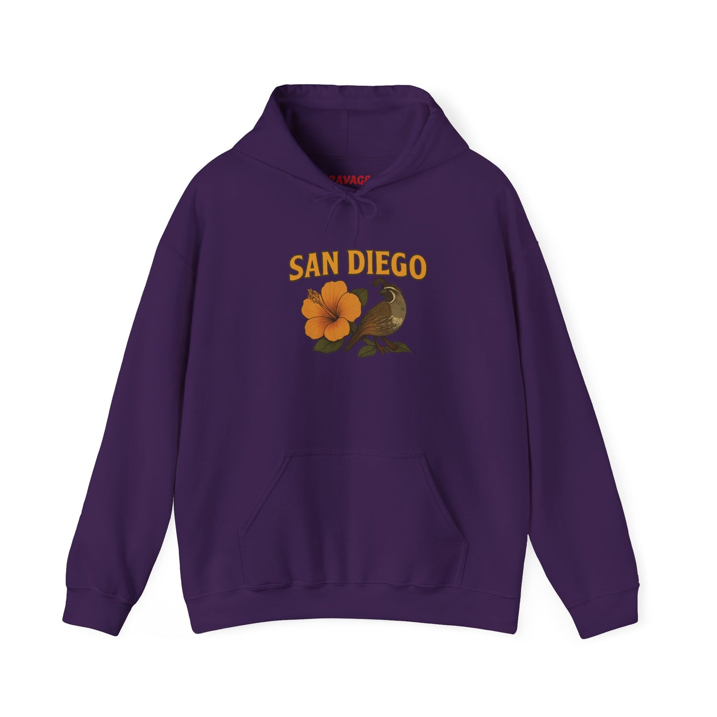 SAN DIEGO Unisex Hoodie – Cozy Sweatshirt, Casual Travel Souvenir, Relaxed Streetwear Gift for Nature & City Lovers