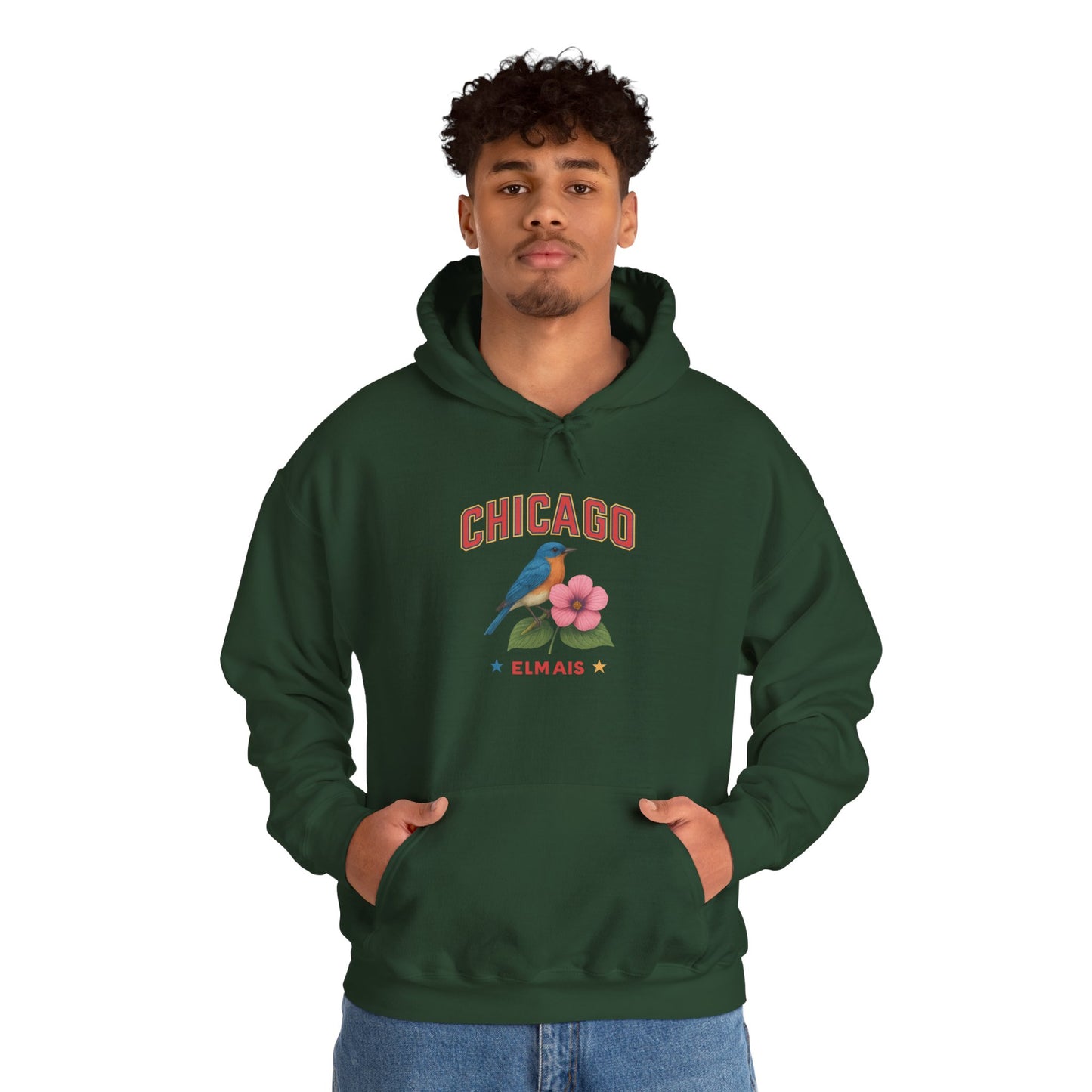 Chicago "The Windy City" Unisex Hoodie – Cozy Sweatshirt, Casual Travel Souvenir, Relaxed Streetwear Gift for Nature & City Lovers