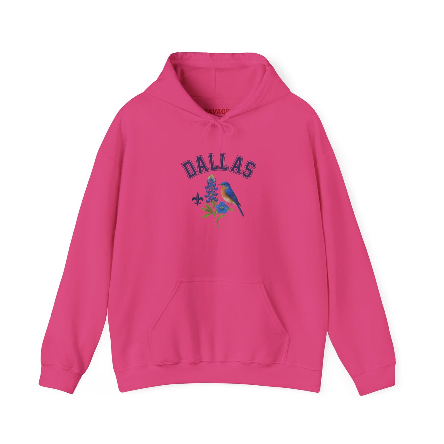 DALLAS Unisex Hoodie – Cozy Sweatshirt, Casual Travel Souvenir, Relaxed Streetwear Gift for Nature & City Lovers