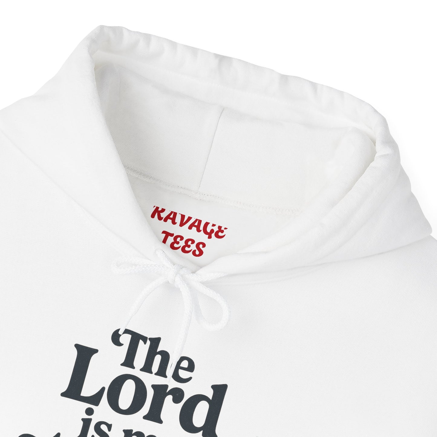 Faith-Inspired Hooded Sweatshirt, Cozy Christian Apparel, Gift for Believers, Inspirational Hoodie, Church Outing Wear