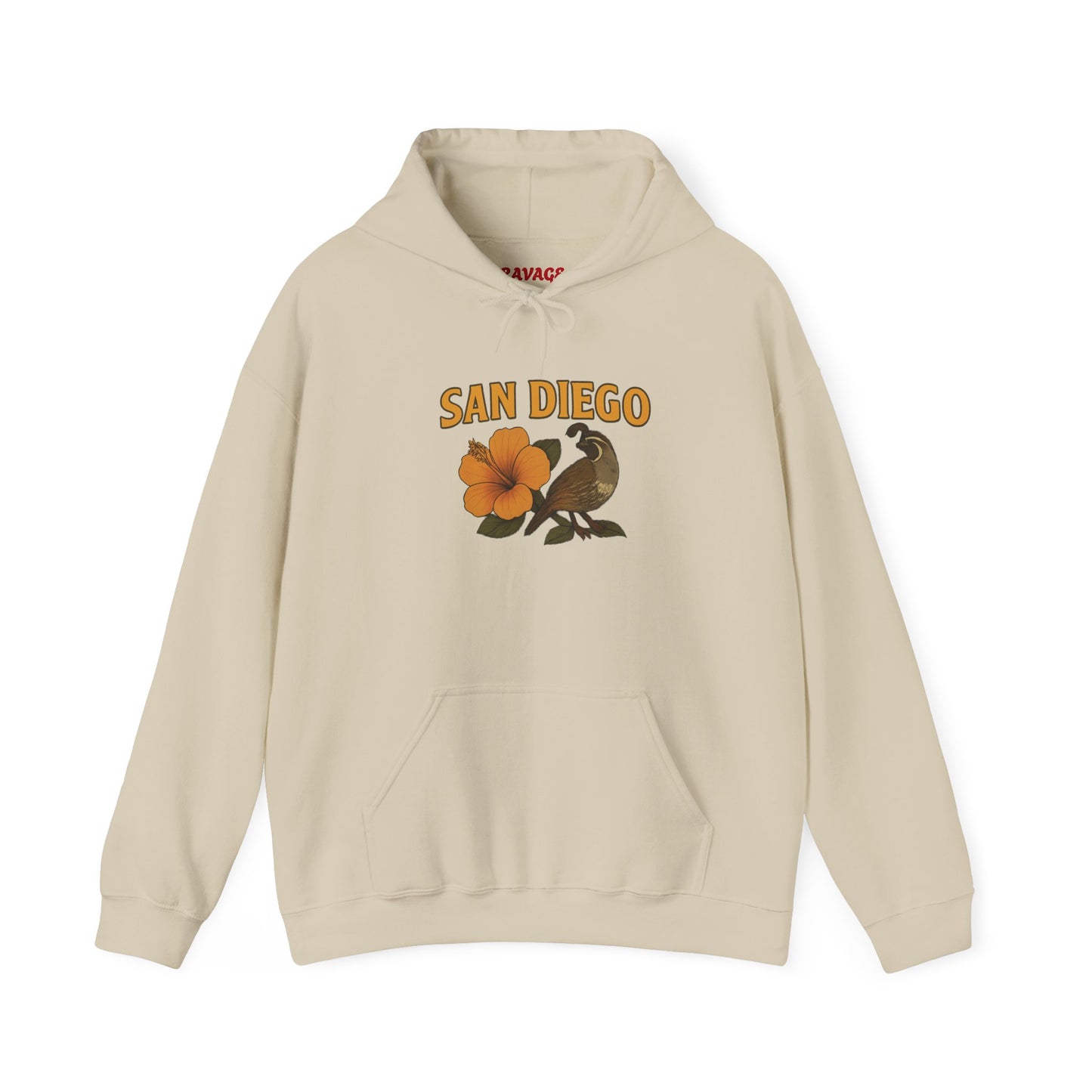 SAN DIEGO Unisex Hoodie – Cozy Sweatshirt, Casual Travel Souvenir, Relaxed Streetwear Gift for Nature & City Lovers