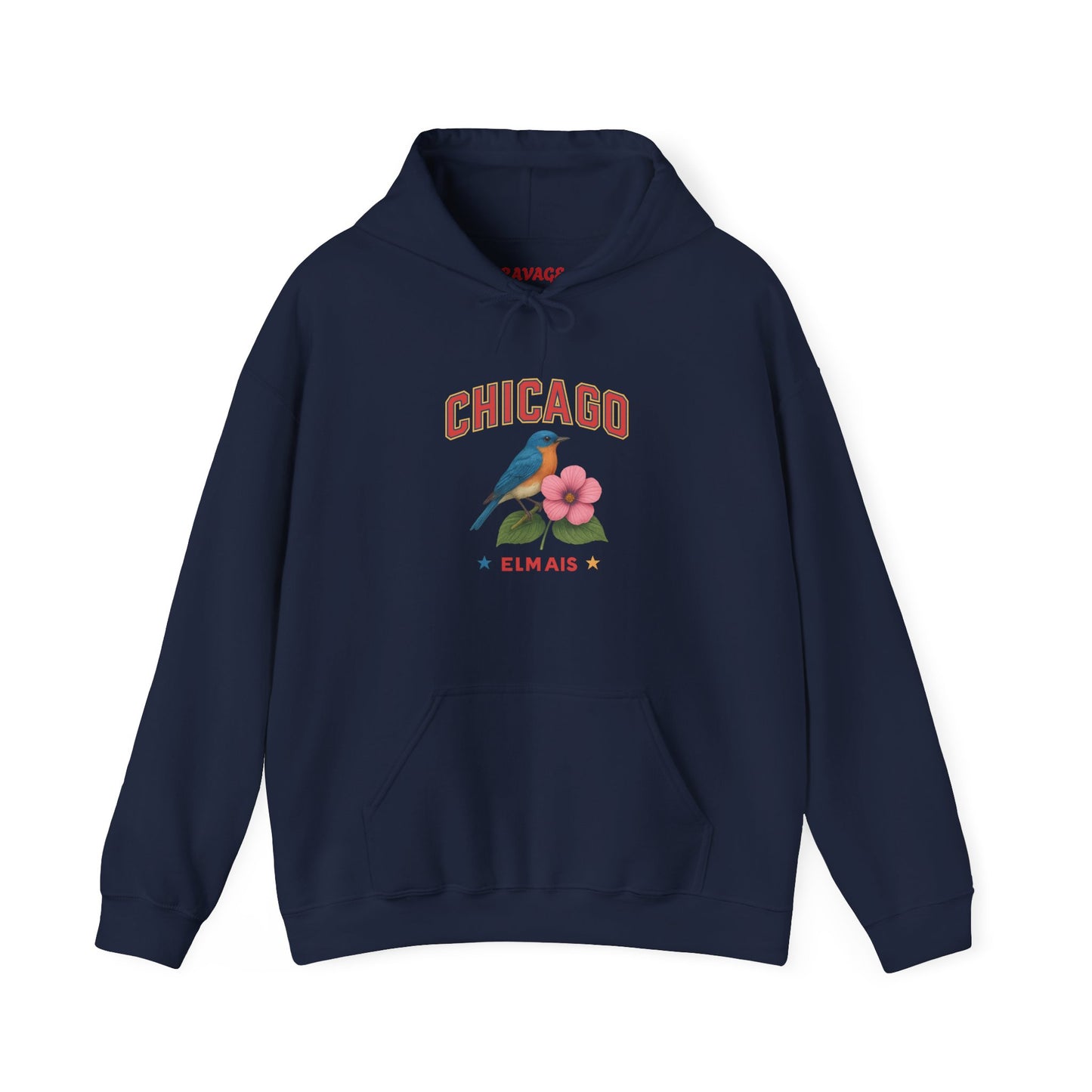 Chicago "The Windy City" Unisex Hoodie – Cozy Sweatshirt, Casual Travel Souvenir, Relaxed Streetwear Gift for Nature & City Lovers