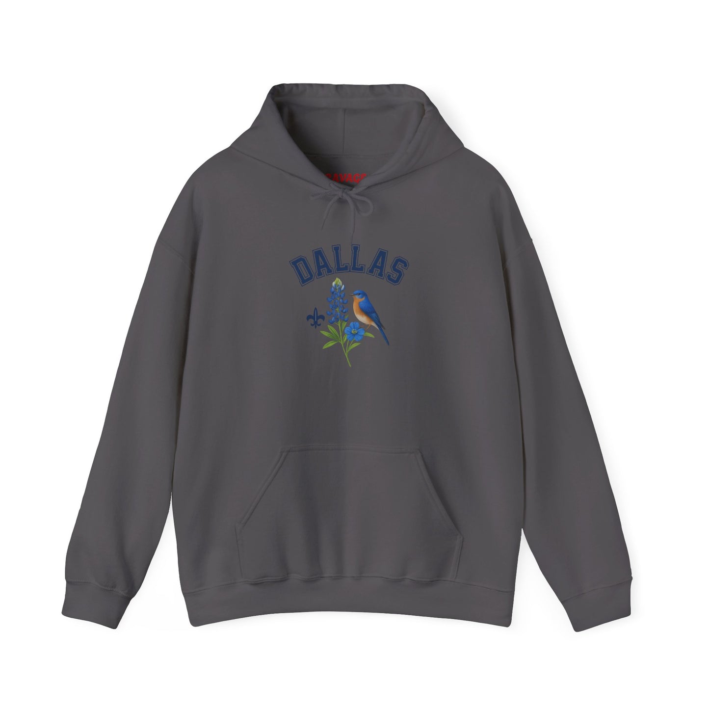 DALLAS Unisex Hoodie – Cozy Sweatshirt, Casual Travel Souvenir, Relaxed Streetwear Gift for Nature & City Lovers