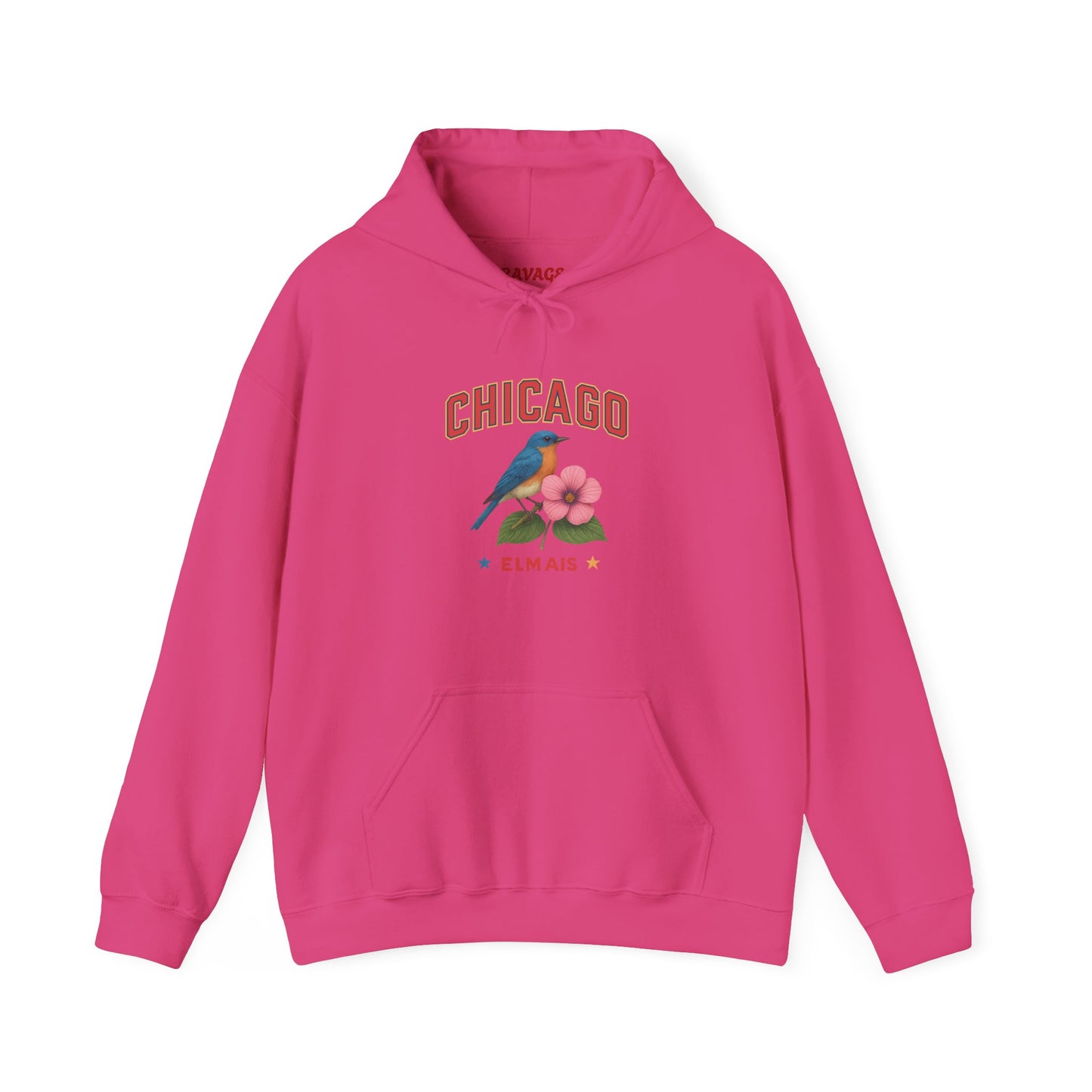 Chicago "The Windy City" Unisex Hoodie – Cozy Sweatshirt, Casual Travel Souvenir, Relaxed Streetwear Gift for Nature & City Lovers