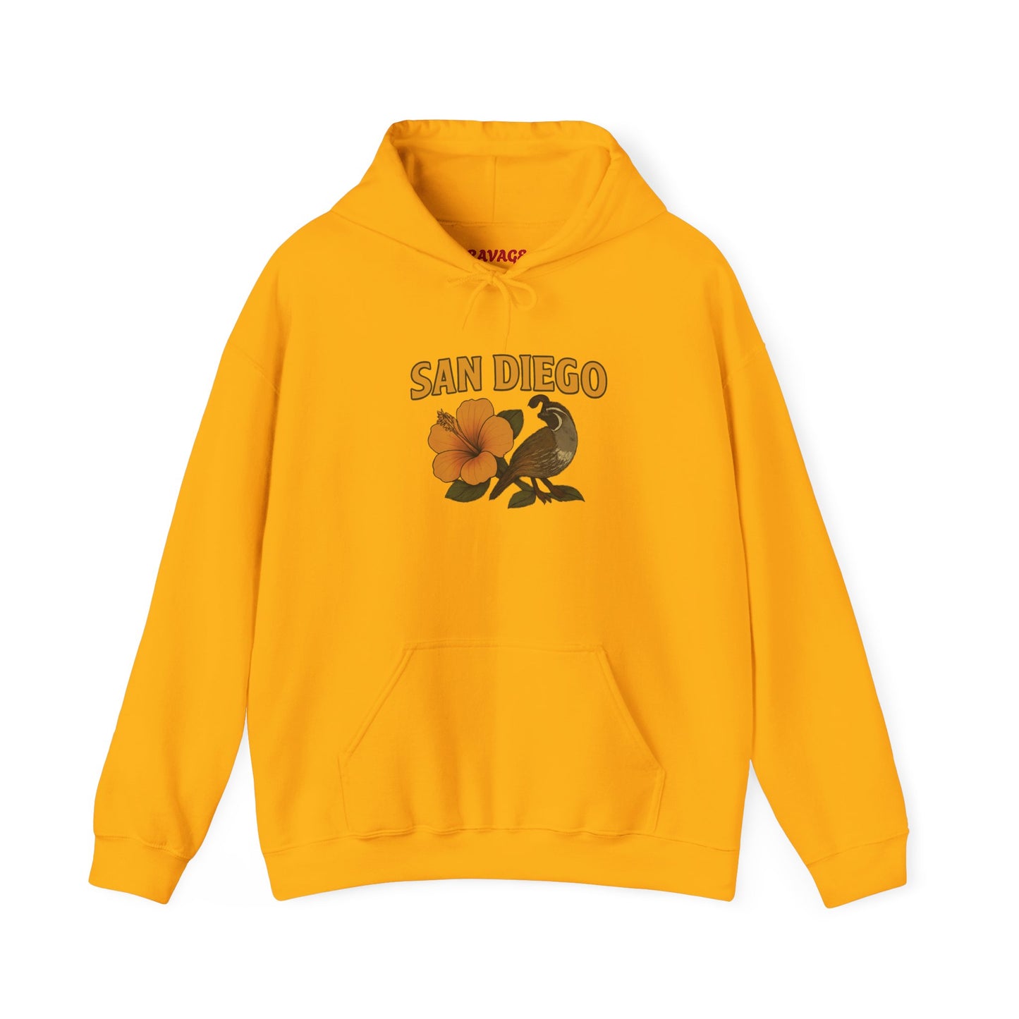 SAN DIEGO Unisex Hoodie – Cozy Sweatshirt, Casual Travel Souvenir, Relaxed Streetwear Gift for Nature & City Lovers