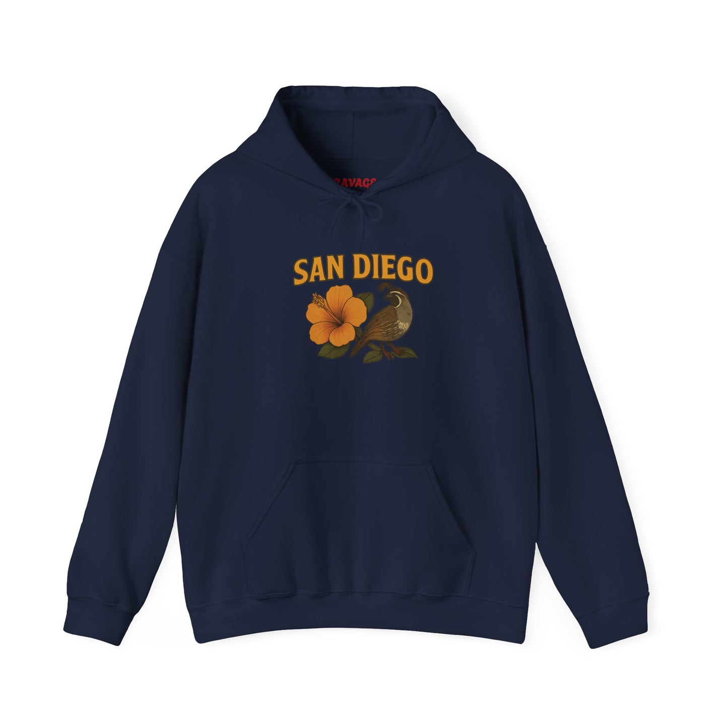 SAN DIEGO Unisex Hoodie – Cozy Sweatshirt, Casual Travel Souvenir, Relaxed Streetwear Gift for Nature & City Lovers