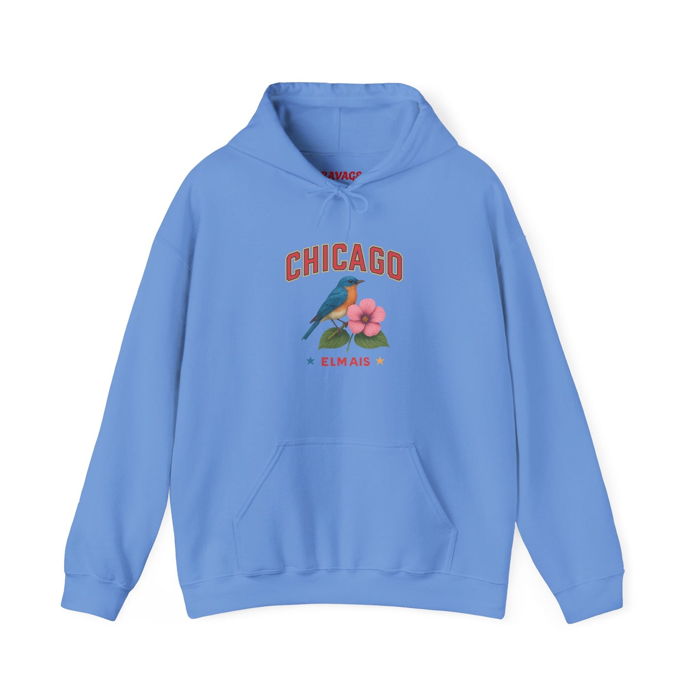 Chicago "The Windy City" Unisex Hoodie – Cozy Sweatshirt, Casual Travel Souvenir, Relaxed Streetwear Gift for Nature & City Lovers