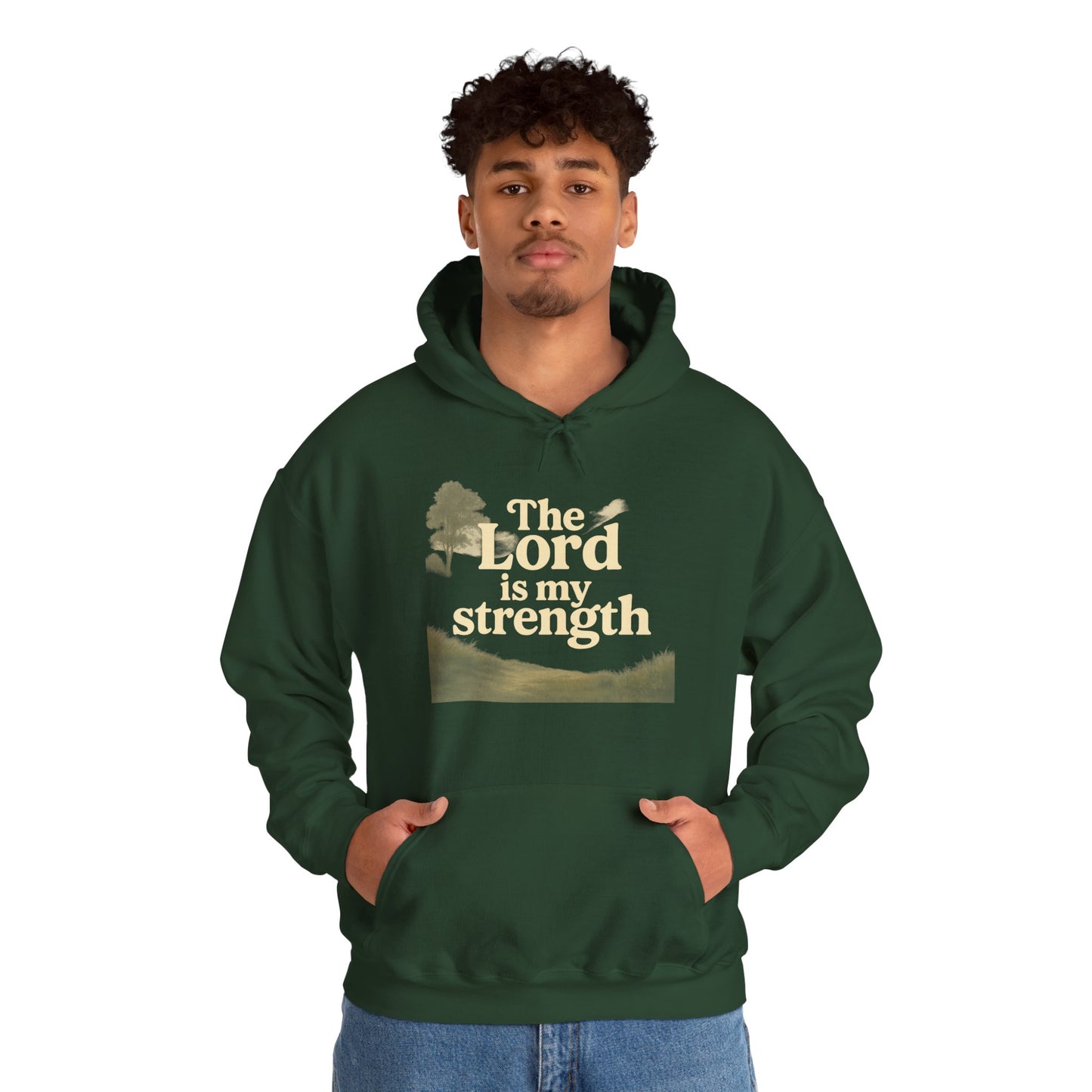 Faith-Inspired Hooded Sweatshirt, Cozy Christian Apparel, Gift for Believers, Inspirational Hoodie, Church Outing Wear