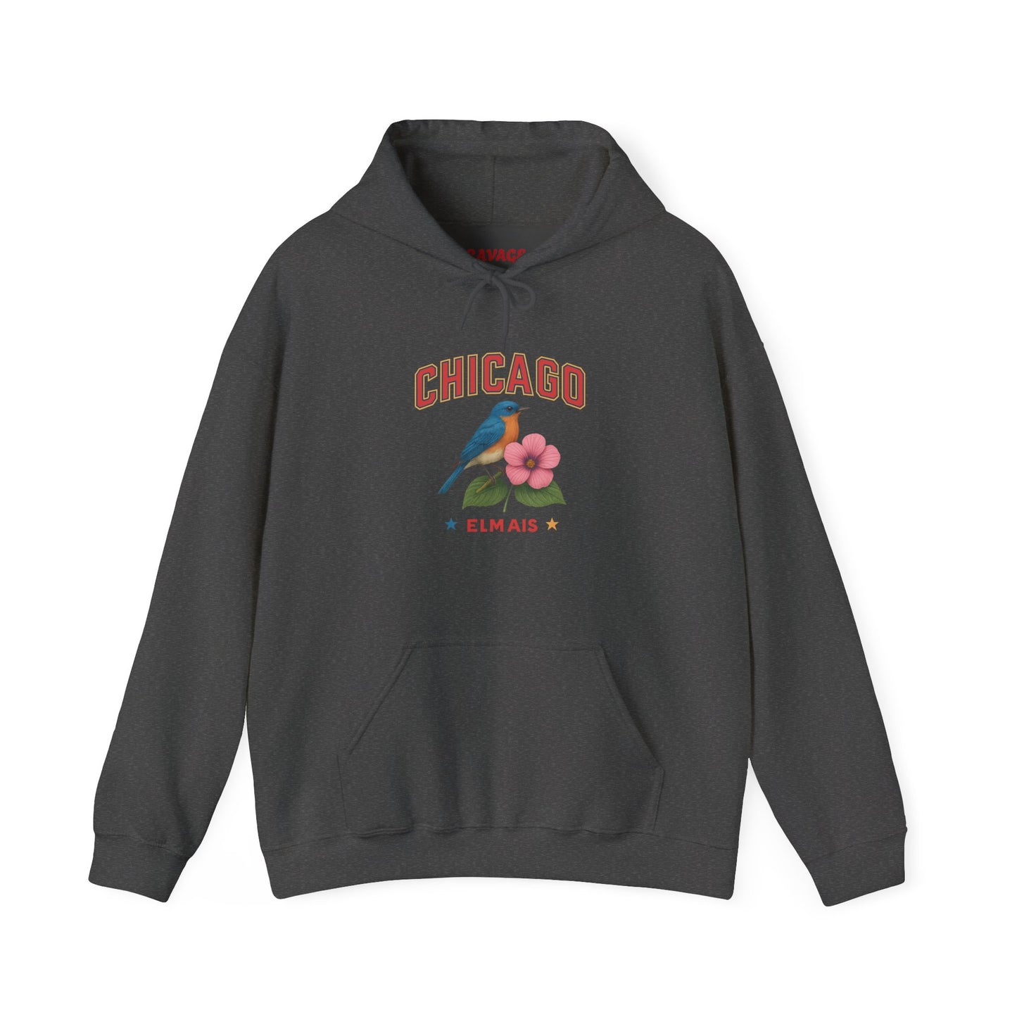 Chicago "The Windy City" Unisex Hoodie – Cozy Sweatshirt, Casual Travel Souvenir, Relaxed Streetwear Gift for Nature & City Lovers