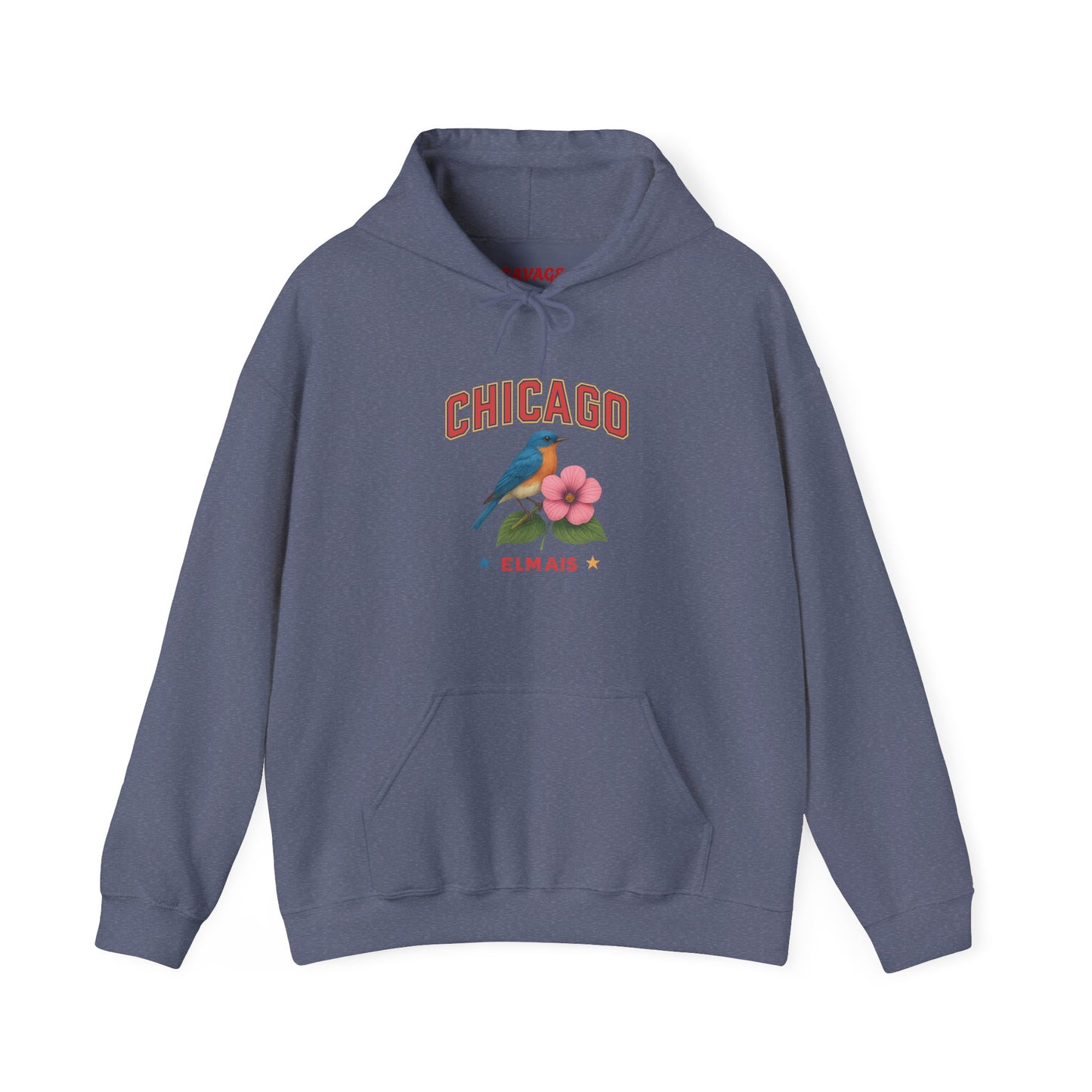 Chicago "The Windy City" Unisex Hoodie – Cozy Sweatshirt, Casual Travel Souvenir, Relaxed Streetwear Gift for Nature & City Lovers