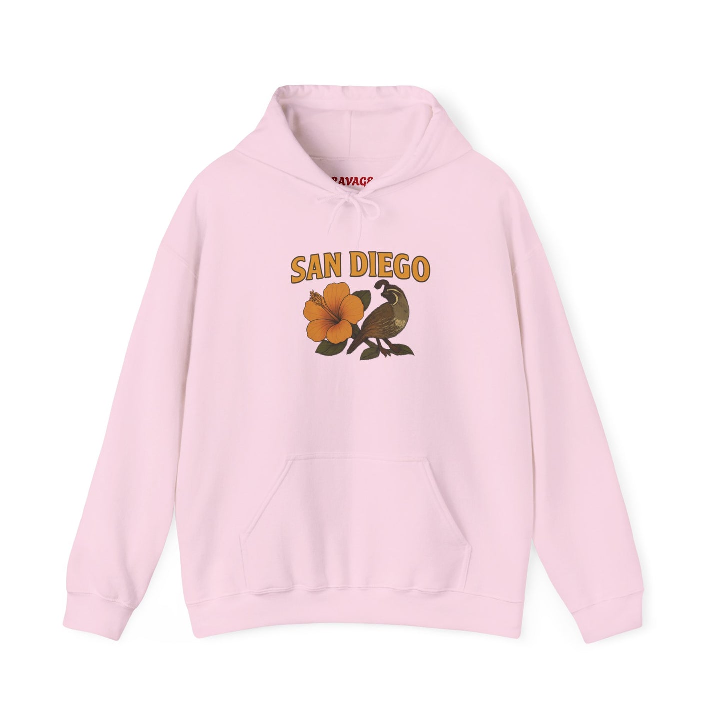SAN DIEGO Unisex Hoodie – Cozy Sweatshirt, Casual Travel Souvenir, Relaxed Streetwear Gift for Nature & City Lovers