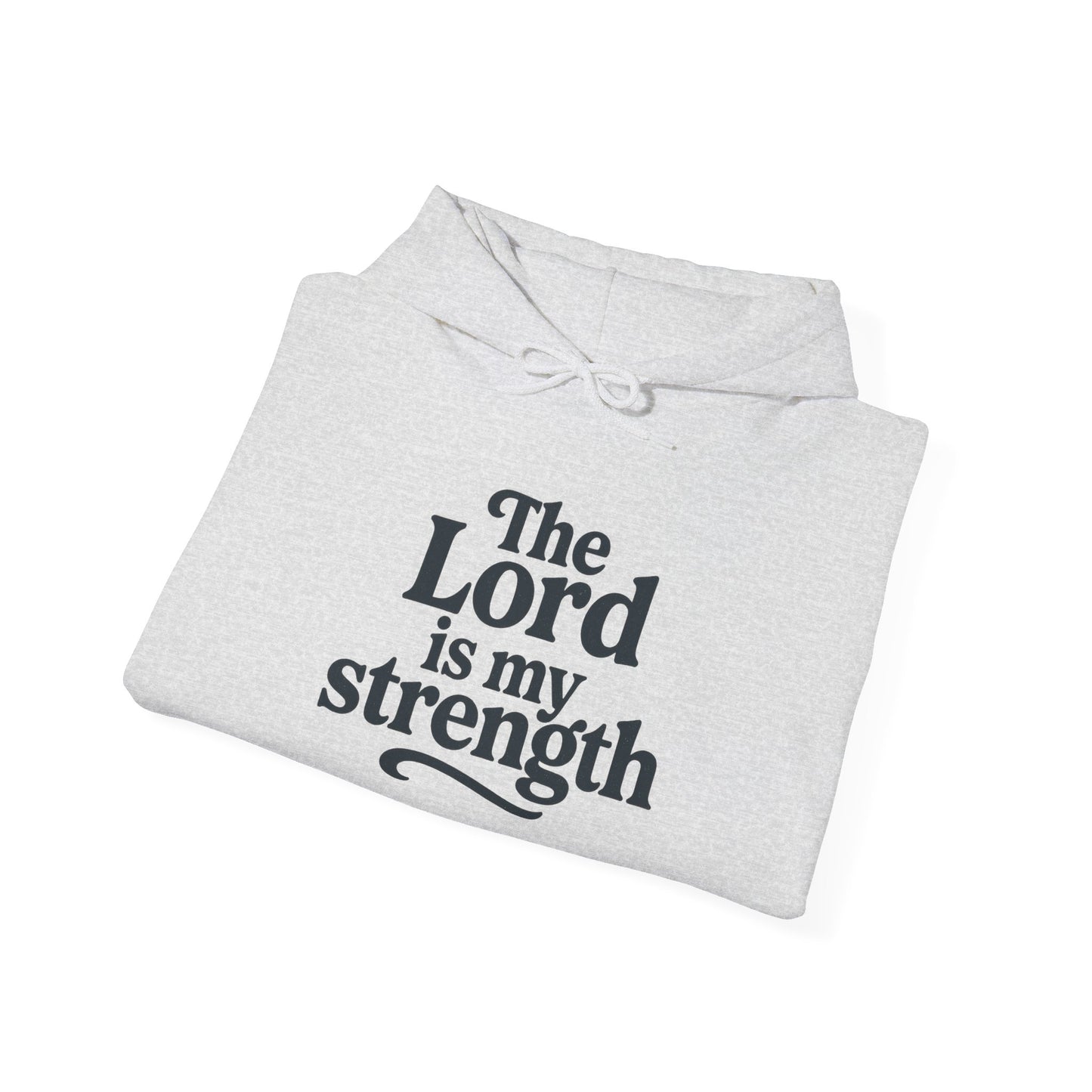 Faith-Inspired Hooded Sweatshirt, Cozy Christian Apparel, Gift for Believers, Inspirational Hoodie, Church Outing Wear