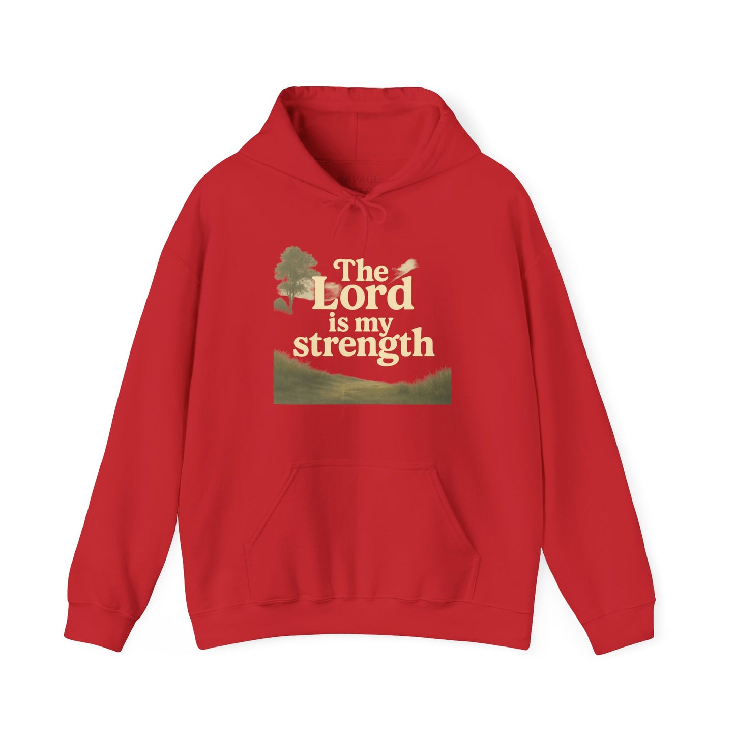 Faith-Inspired Hooded Sweatshirt, Cozy Christian Apparel, Gift for Believers, Inspirational Hoodie, Church Outing Wear