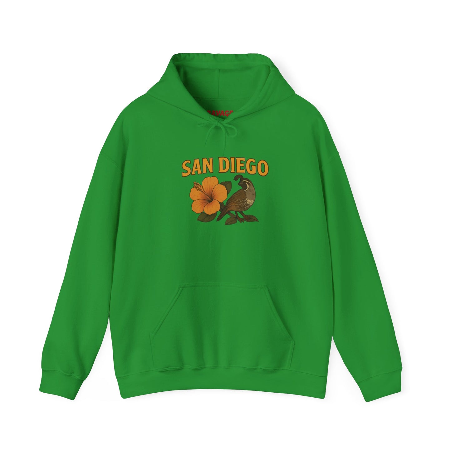 SAN DIEGO Unisex Hoodie – Cozy Sweatshirt, Casual Travel Souvenir, Relaxed Streetwear Gift for Nature & City Lovers