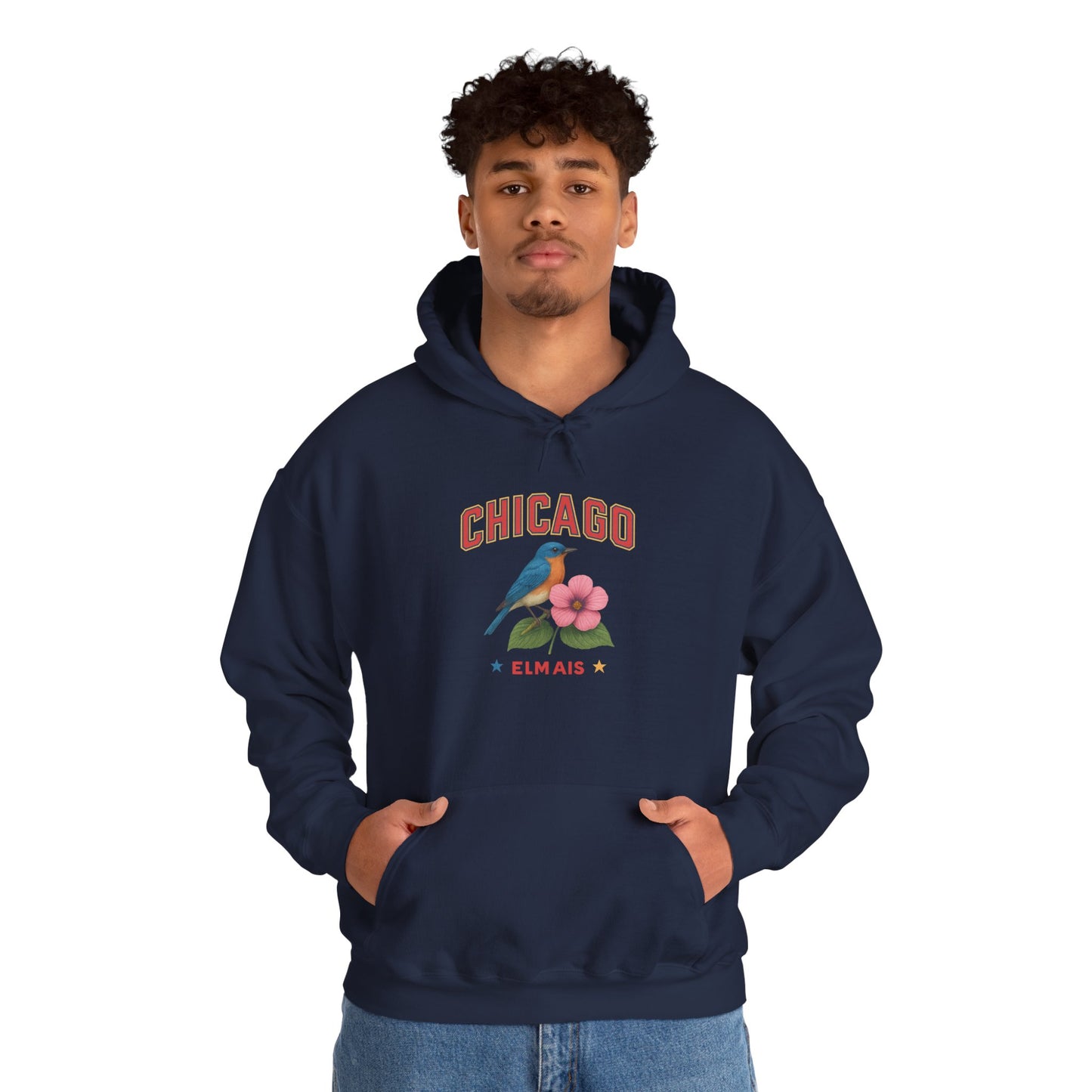 Chicago "The Windy City" Unisex Hoodie – Cozy Sweatshirt, Casual Travel Souvenir, Relaxed Streetwear Gift for Nature & City Lovers