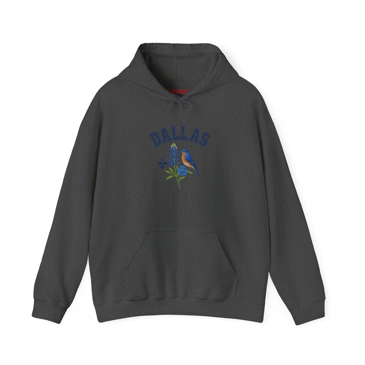 DALLAS Unisex Hoodie – Cozy Sweatshirt, Casual Travel Souvenir, Relaxed Streetwear Gift for Nature & City Lovers