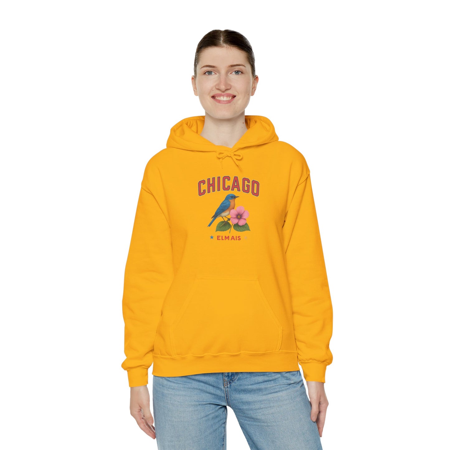 Chicago "The Windy City" Unisex Hoodie – Cozy Sweatshirt, Casual Travel Souvenir, Relaxed Streetwear Gift for Nature & City Lovers