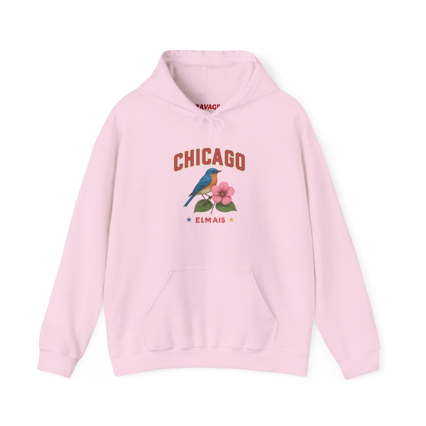 Chicago "The Windy City" Unisex Hoodie – Cozy Sweatshirt, Casual Travel Souvenir, Relaxed Streetwear Gift for Nature & City Lovers