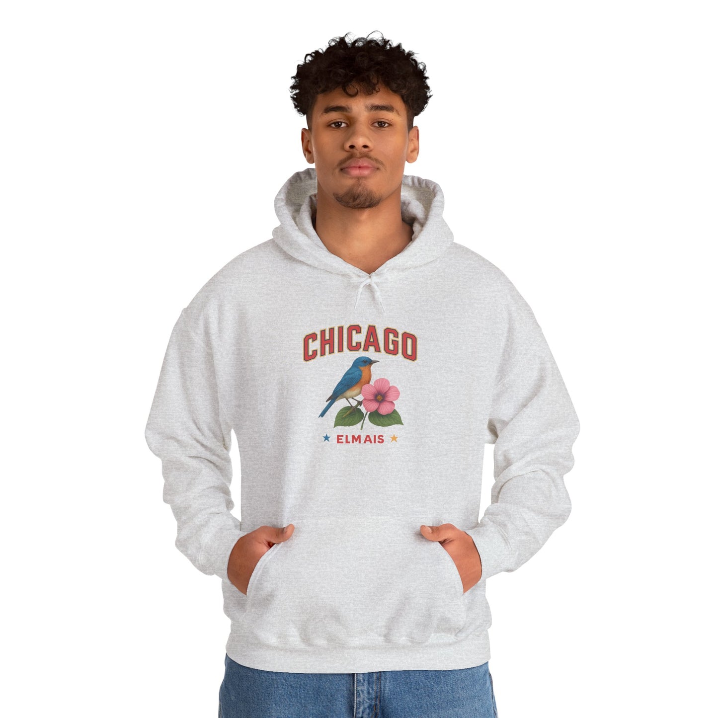Chicago "The Windy City" Unisex Hoodie – Cozy Sweatshirt, Casual Travel Souvenir, Relaxed Streetwear Gift for Nature & City Lovers
