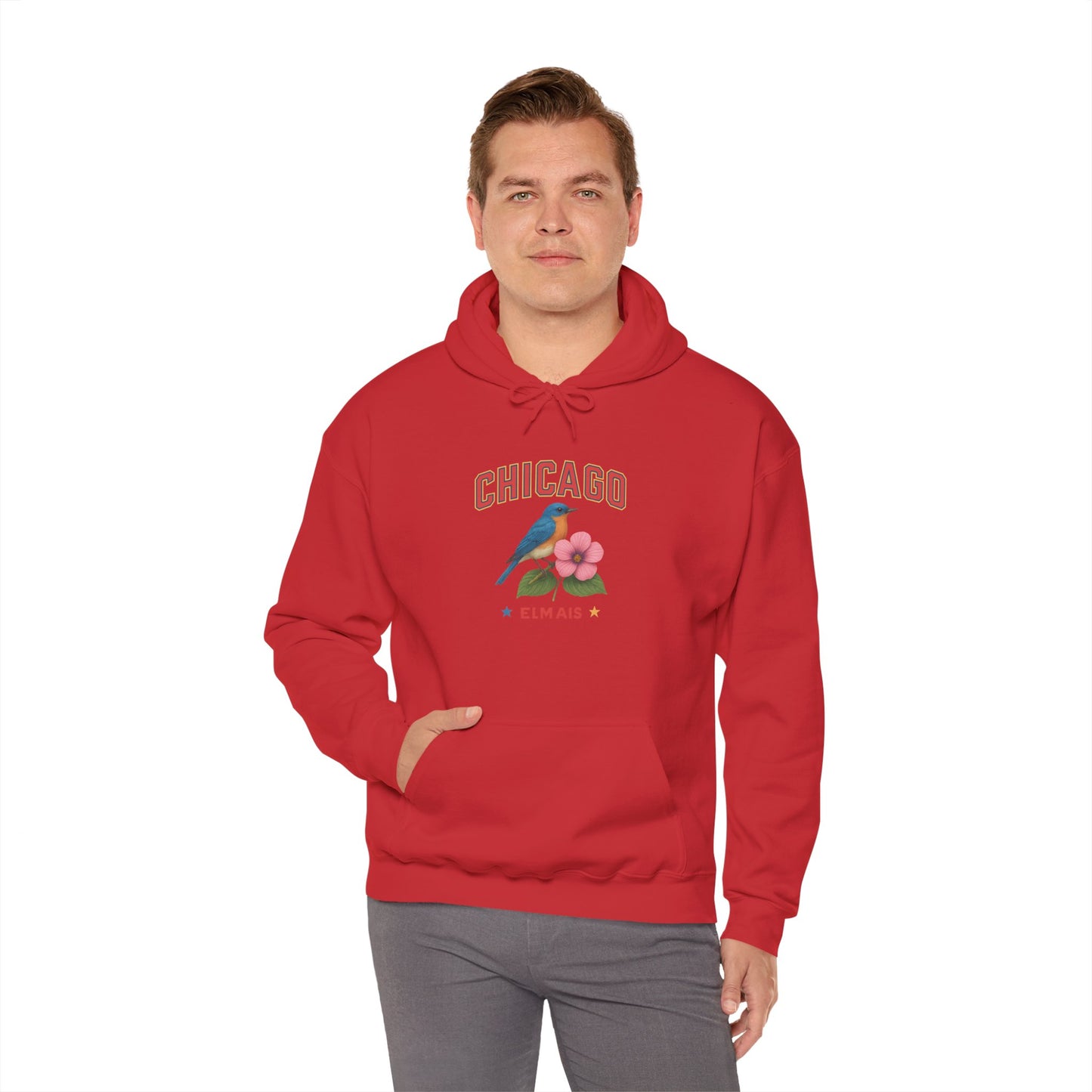 Chicago "The Windy City" Unisex Hoodie – Cozy Sweatshirt, Casual Travel Souvenir, Relaxed Streetwear Gift for Nature & City Lovers
