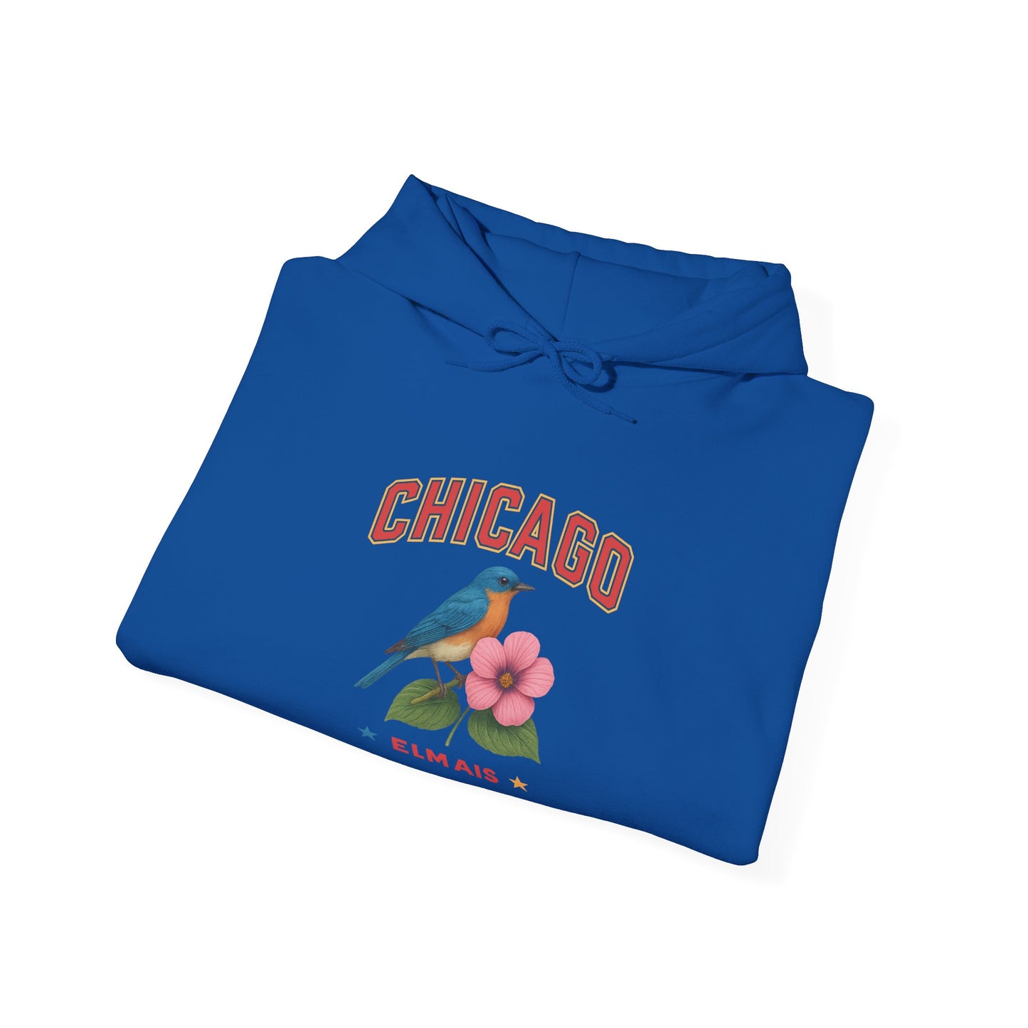 Chicago "The Windy City" Unisex Hoodie – Cozy Sweatshirt, Casual Travel Souvenir, Relaxed Streetwear Gift for Nature & City Lovers