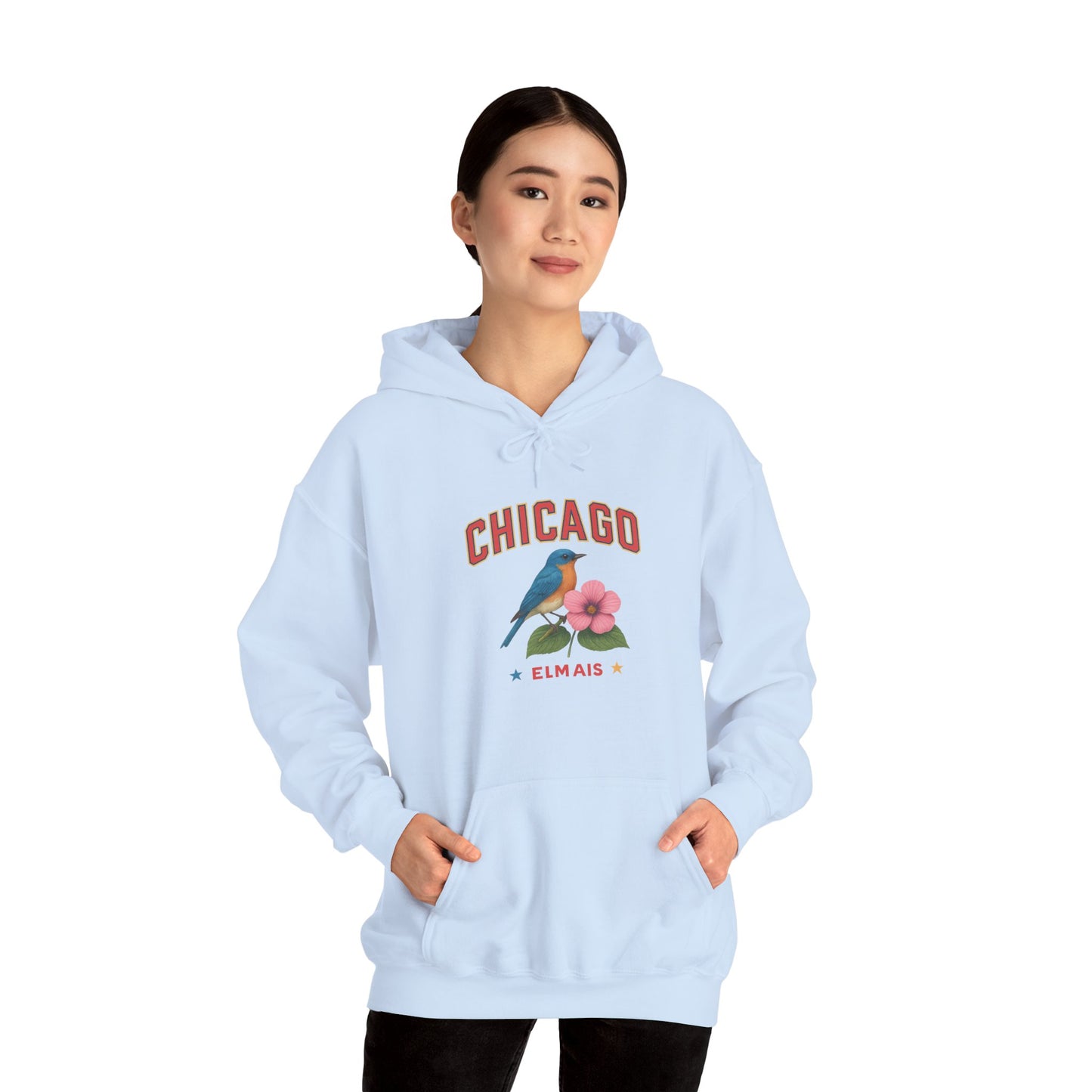 Chicago "The Windy City" Unisex Hoodie – Cozy Sweatshirt, Casual Travel Souvenir, Relaxed Streetwear Gift for Nature & City Lovers