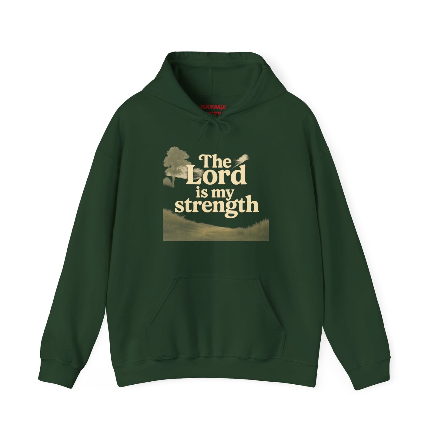 Faith-Inspired Hooded Sweatshirt, Cozy Christian Apparel, Gift for Believers, Inspirational Hoodie, Church Outing Wear