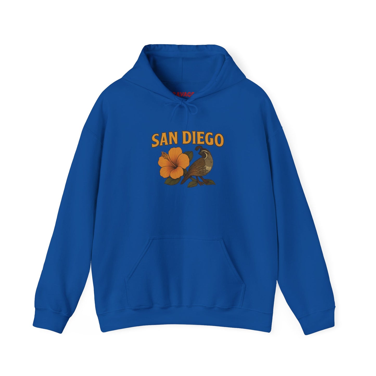 SAN DIEGO Unisex Hoodie – Cozy Sweatshirt, Casual Travel Souvenir, Relaxed Streetwear Gift for Nature & City Lovers