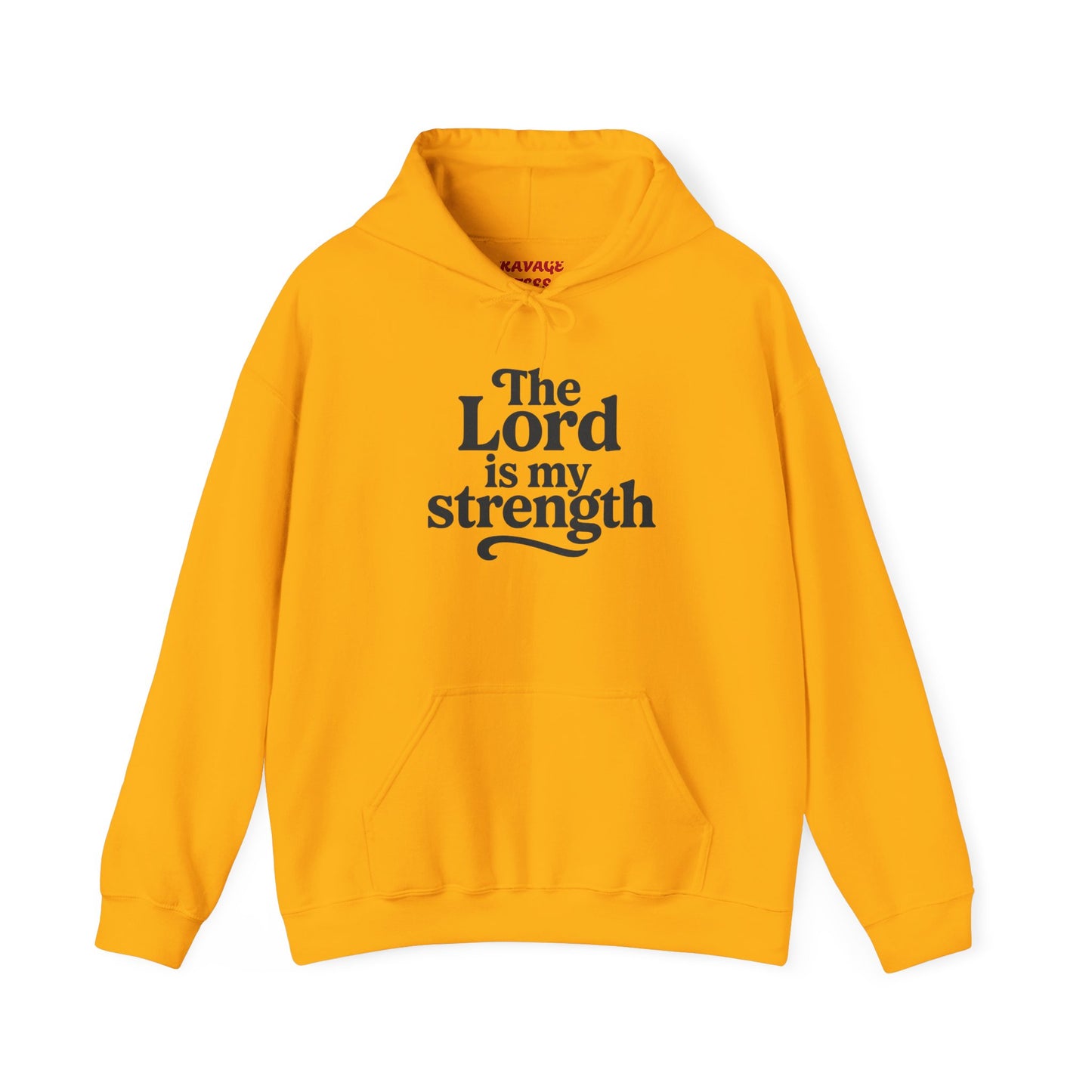 Faith-Inspired Hooded Sweatshirt, Cozy Christian Apparel, Gift for Believers, Inspirational Hoodie, Church Outing Wear
