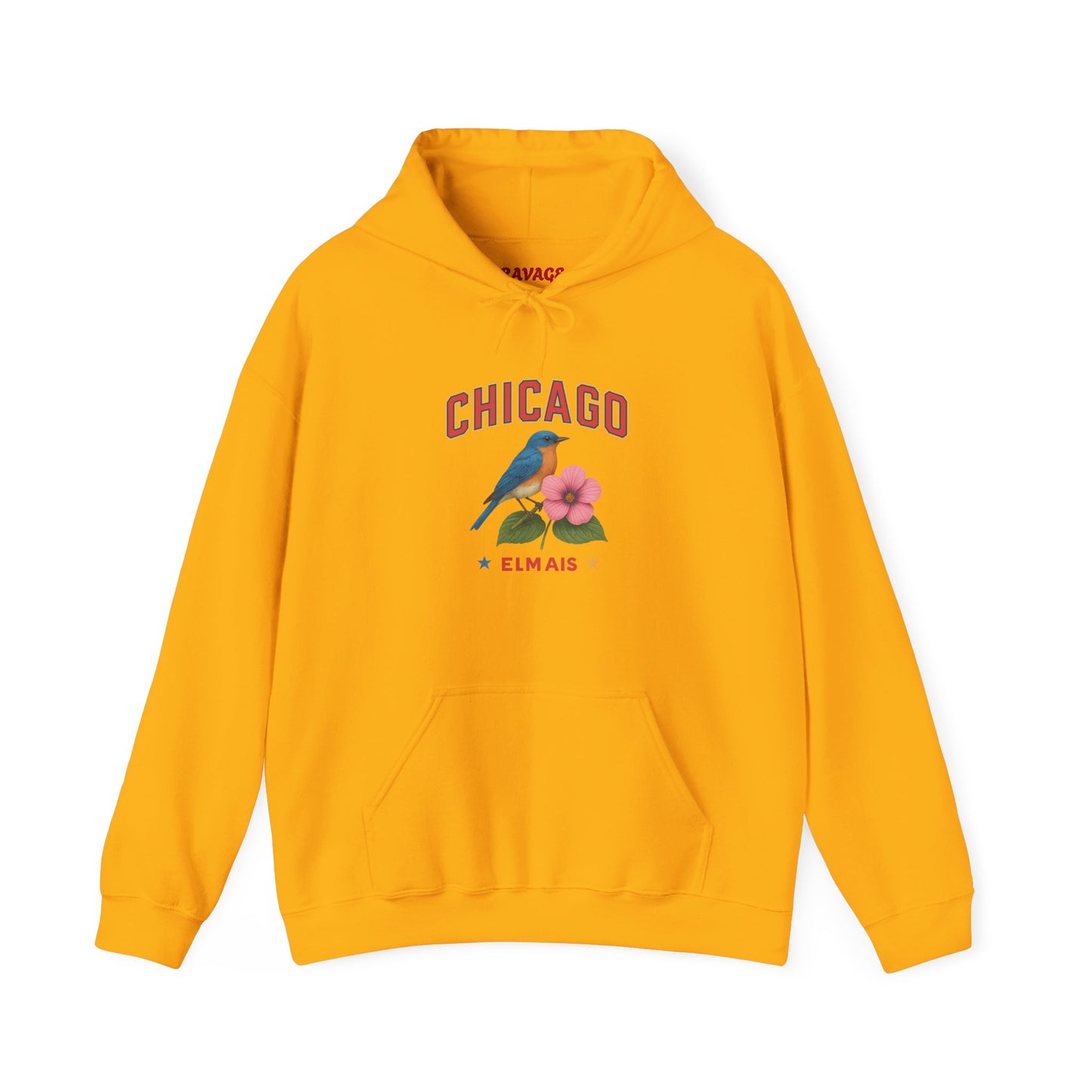 Chicago "The Windy City" Unisex Hoodie – Cozy Sweatshirt, Casual Travel Souvenir, Relaxed Streetwear Gift for Nature & City Lovers