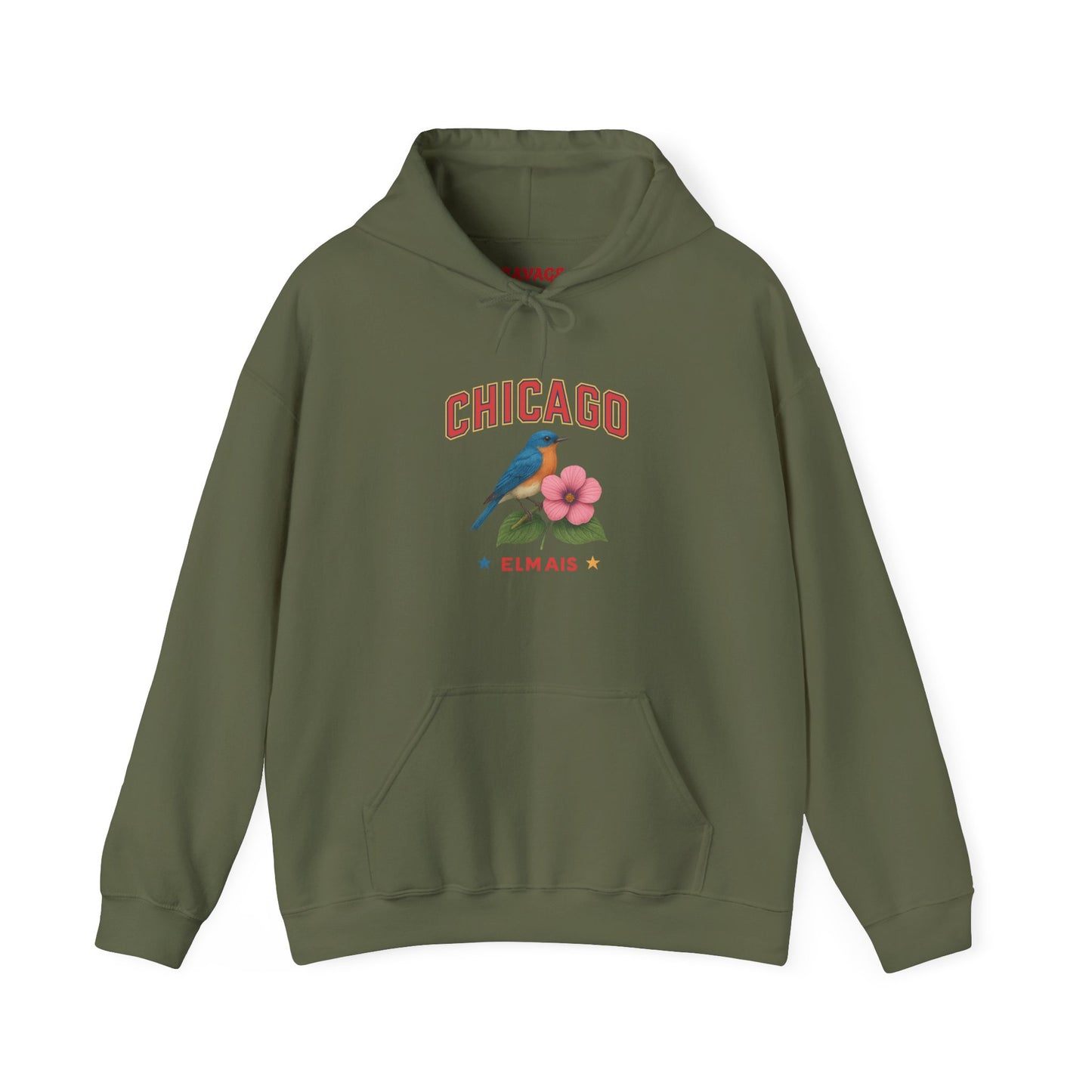 Chicago "The Windy City" Unisex Hoodie – Cozy Sweatshirt, Casual Travel Souvenir, Relaxed Streetwear Gift for Nature & City Lovers